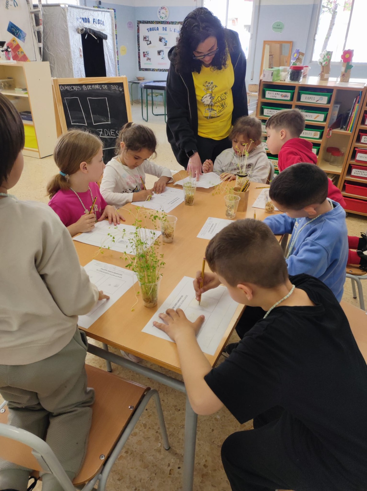 WhatsApp Image 2026-04-13 at 09.08.23