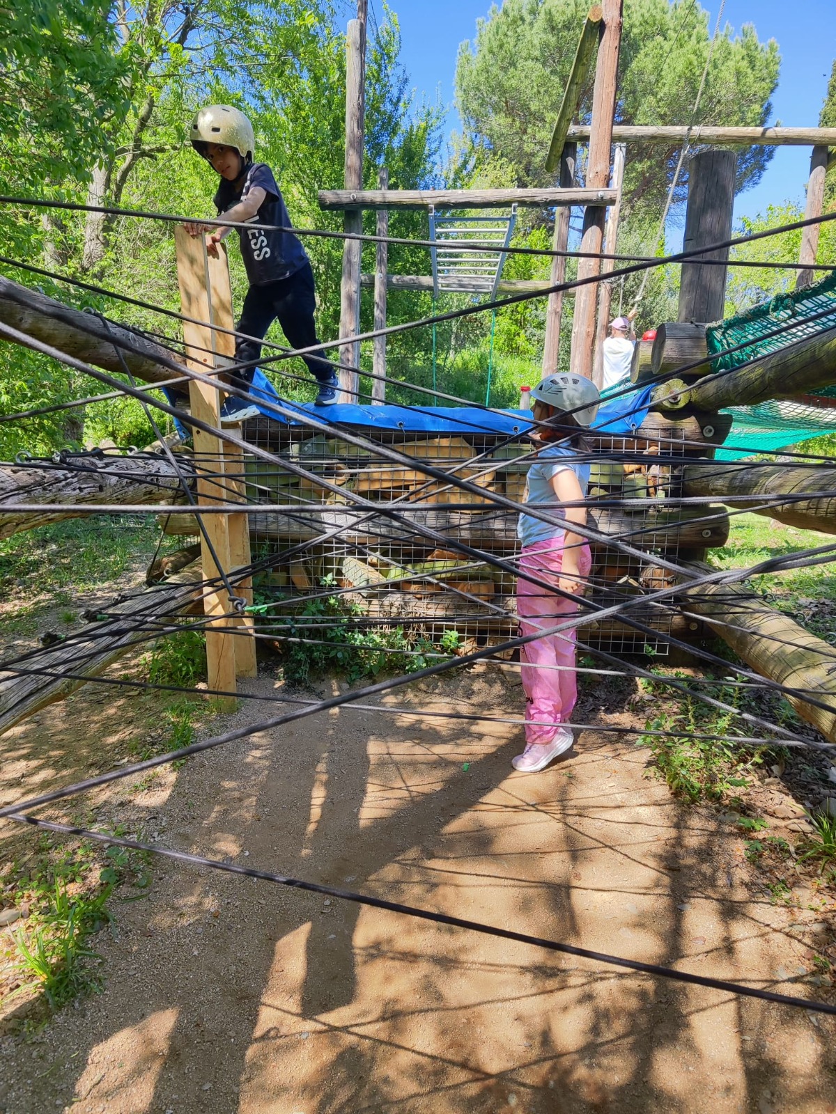 WhatsApp Image 2026-04-15 at 17.15.09 (5)