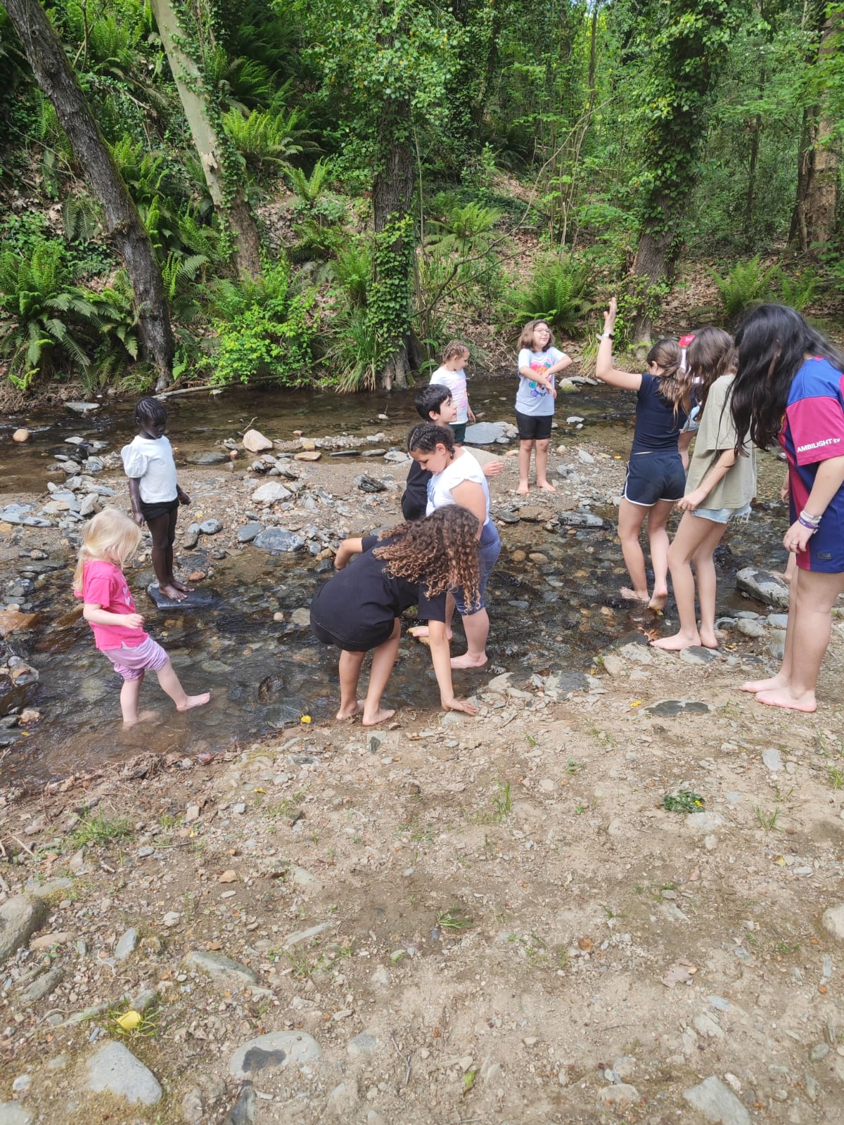 WhatsApp Image 2026-04-16 at 18.00.38 (4)