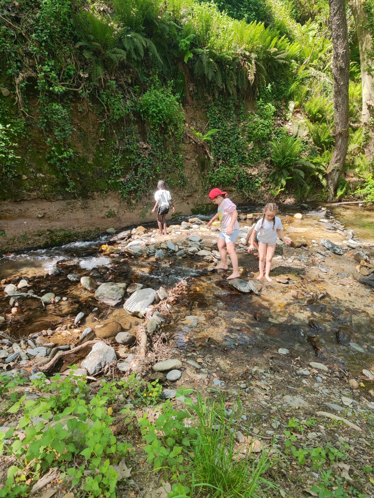 WhatsApp Image 2026-04-16 at 18.00.38 (6)