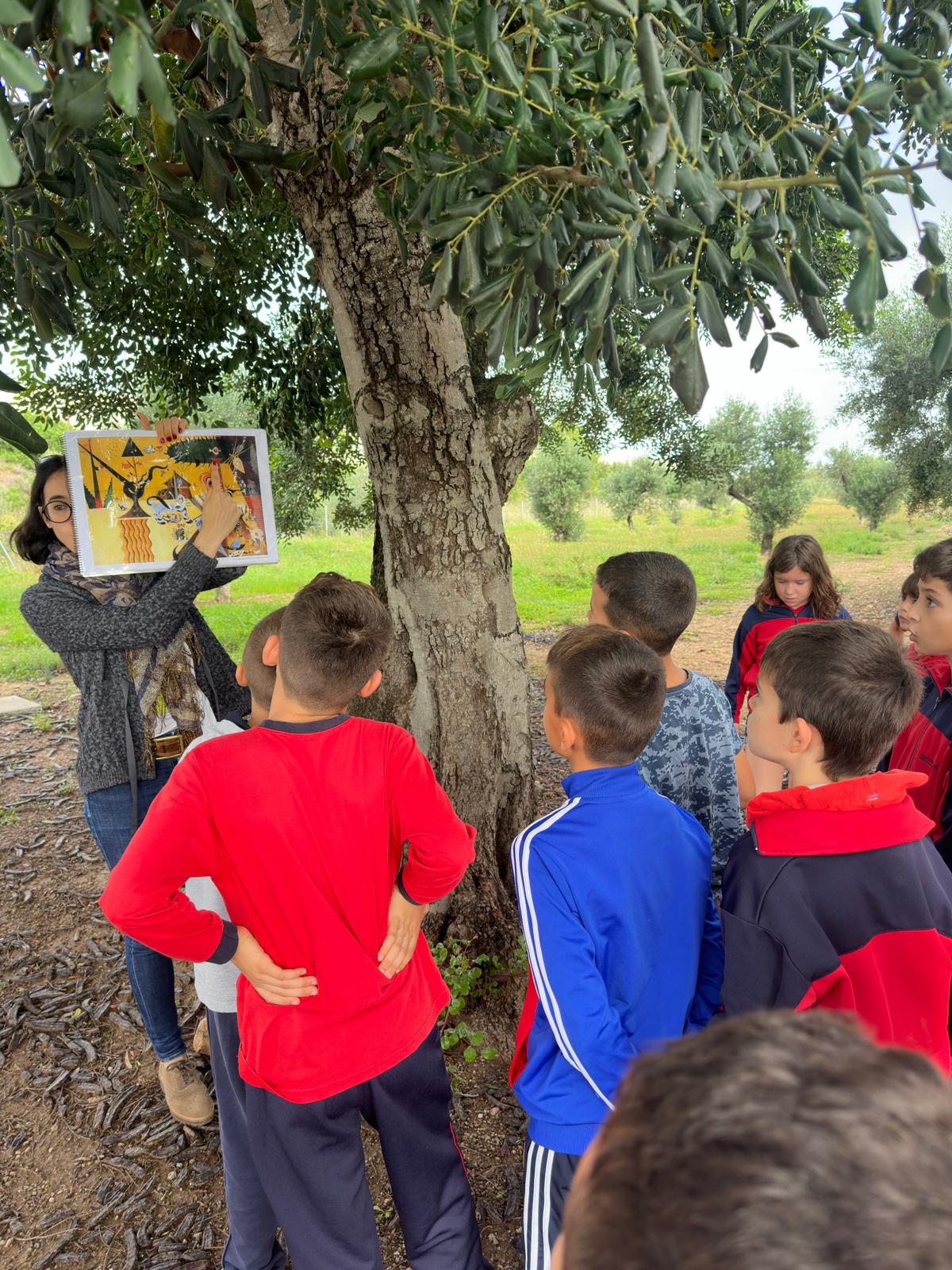 PHOTO-2024-11-06-10-54-40