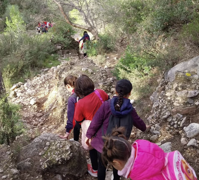 Captura de pantalla 2024-12-07 161105