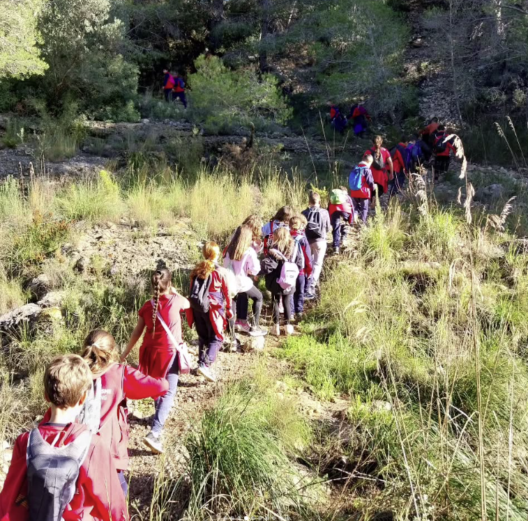 Captura de pantalla 2024-12-07 161125