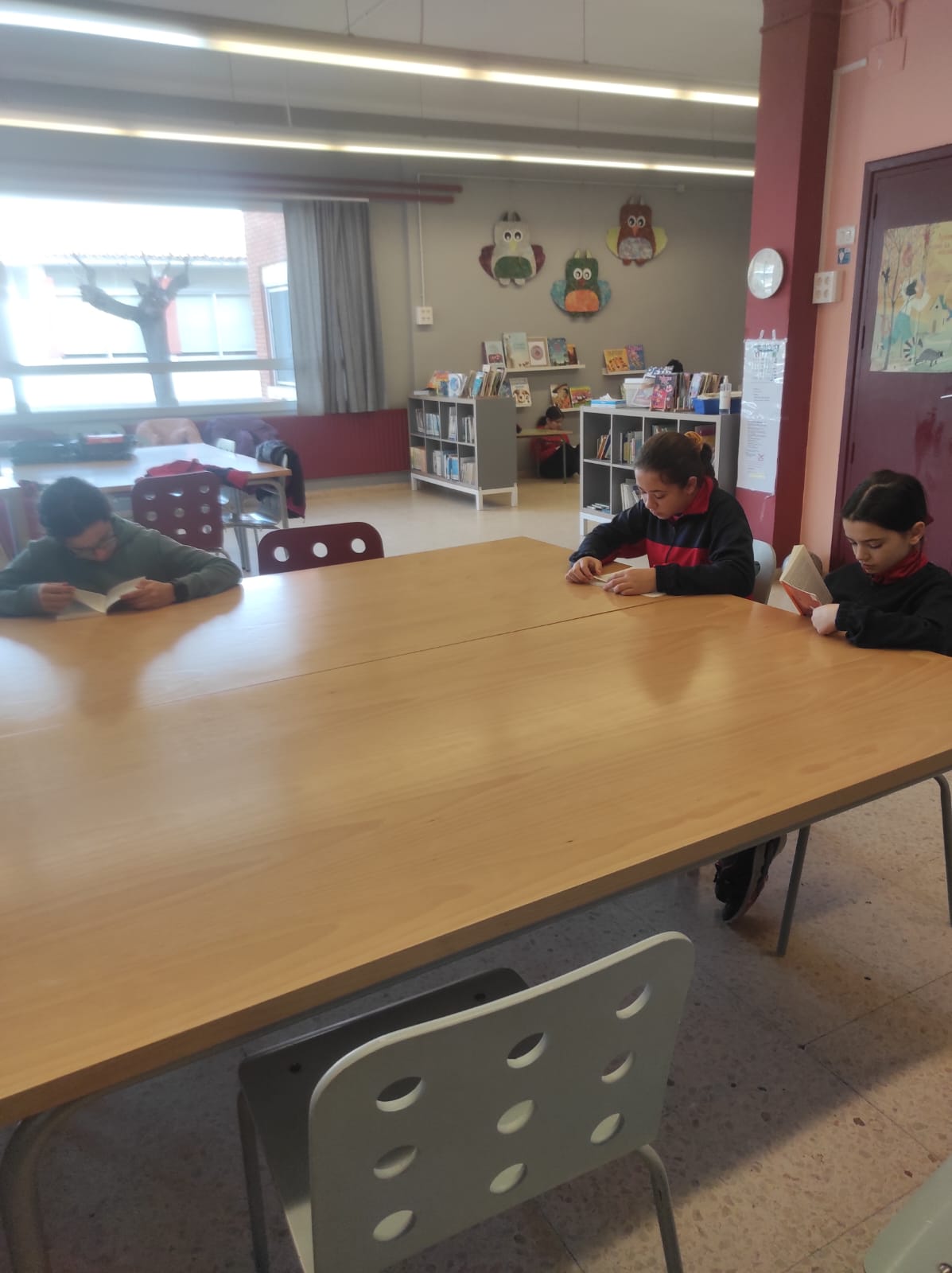 PHOTO-2025-01-22-11-39-25