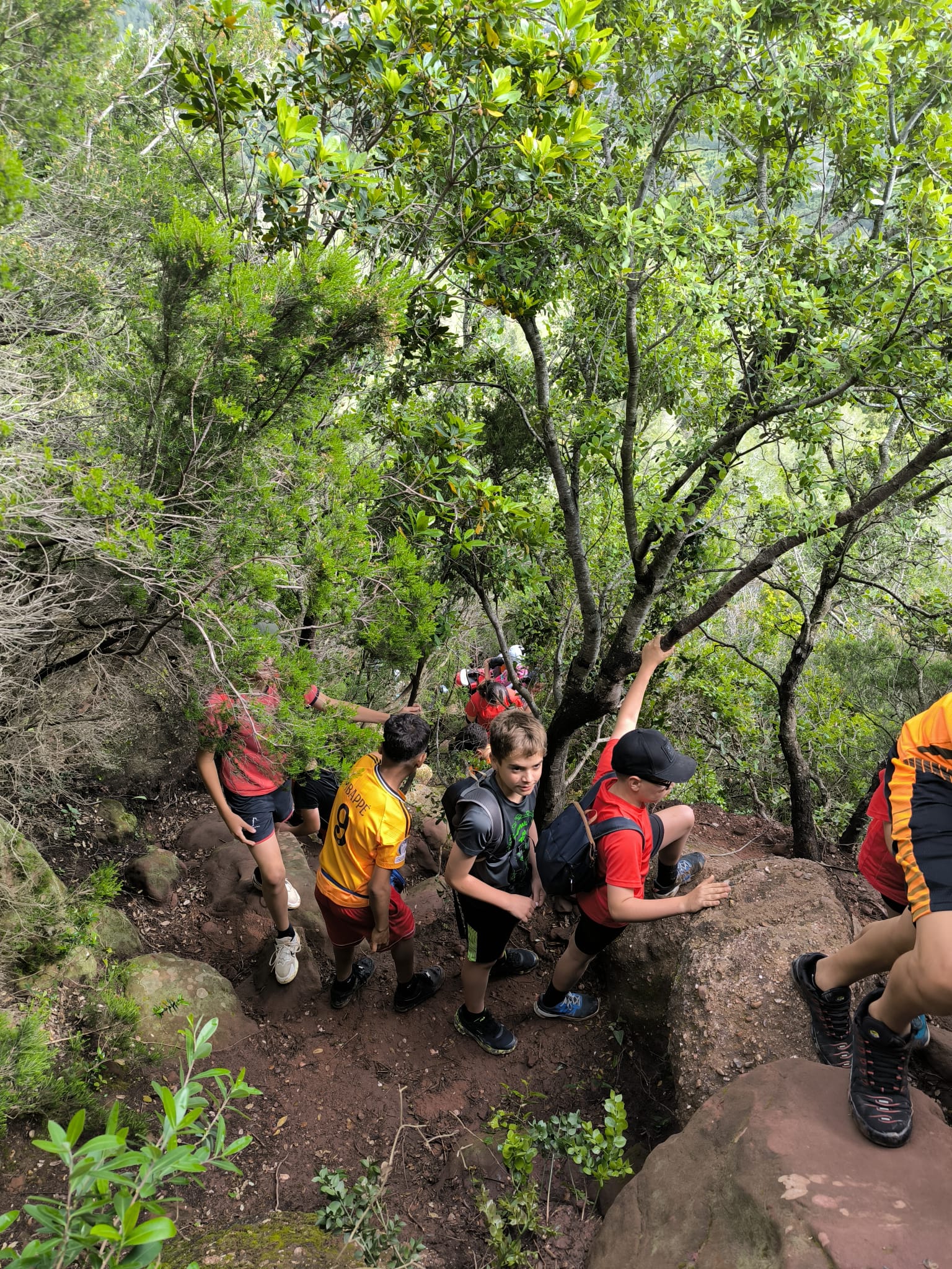 PHOTO-2025-05-09-12-40-33(3)