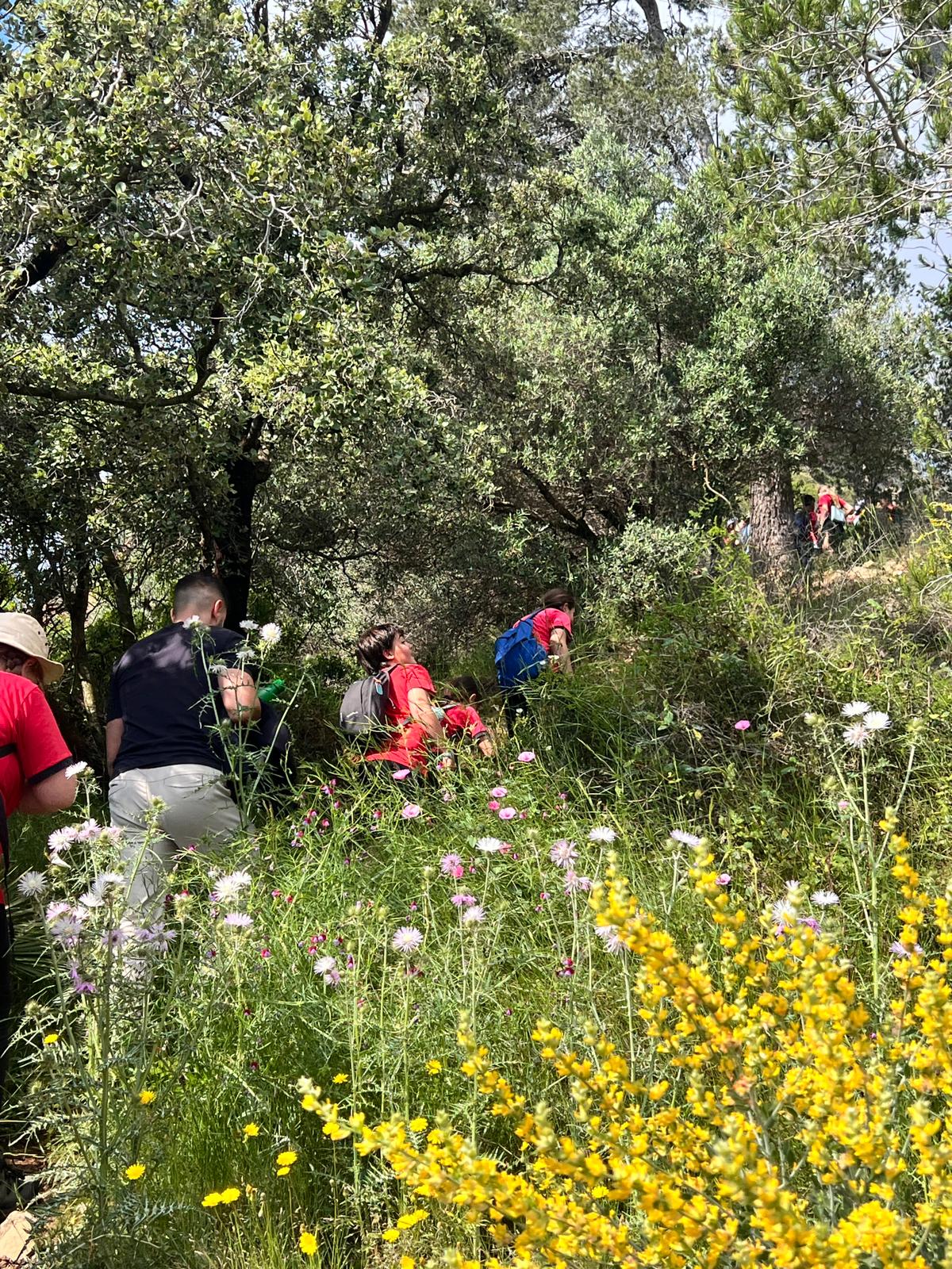 PHOTO-2025-05-09-12-45-35(1)