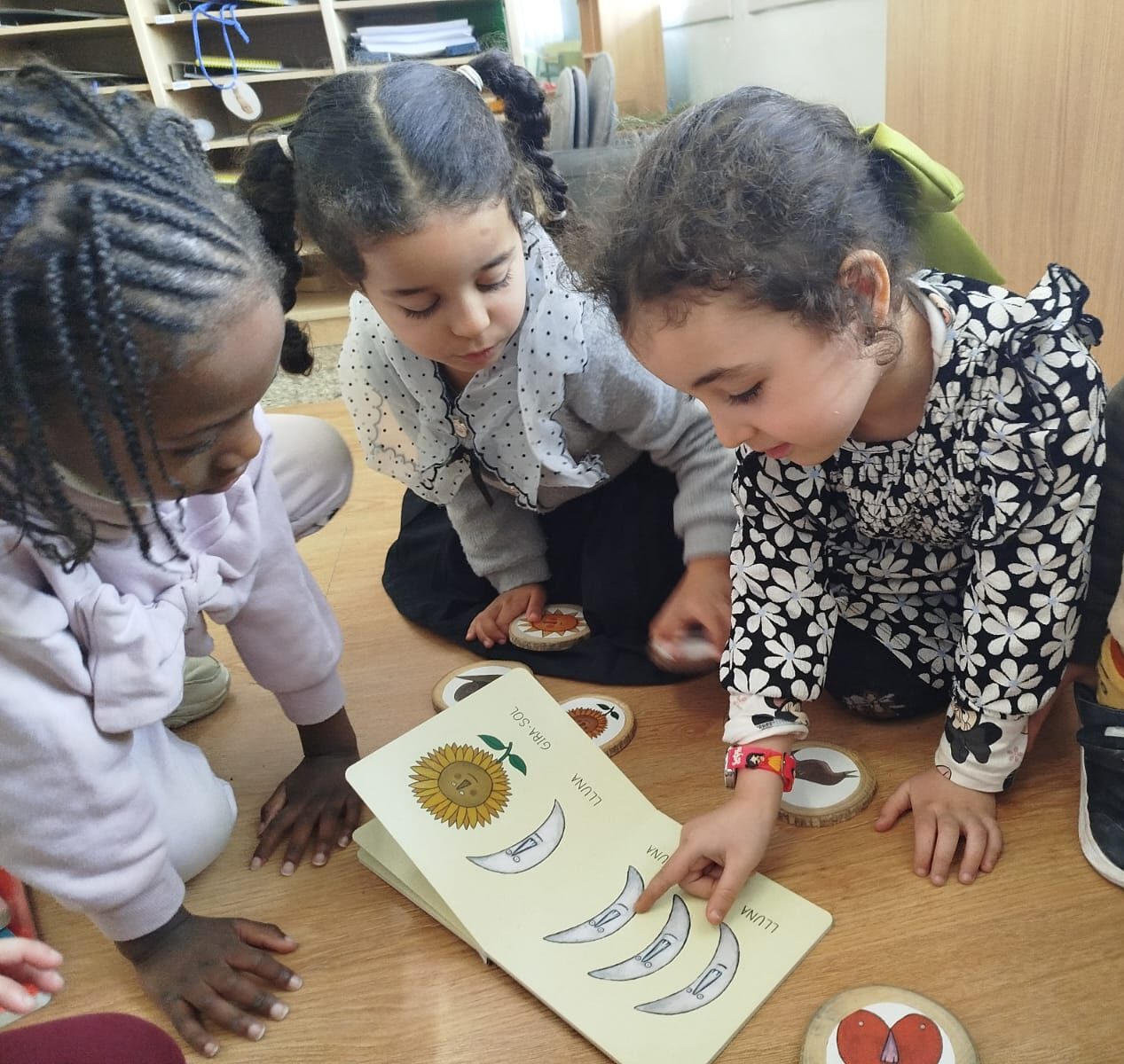 WhatsApp Image 2026-02-09 at 16.28.58