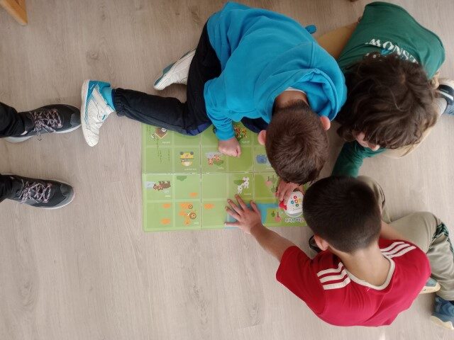 IMG_20250217_153406 (Small)