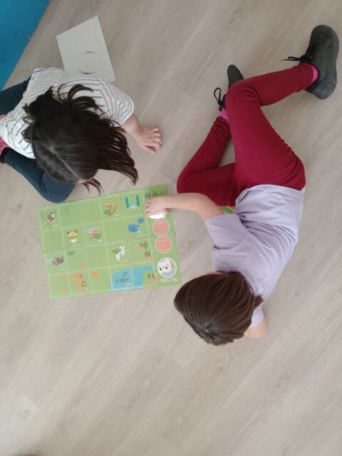 IMG_20250217_153422 (Small)