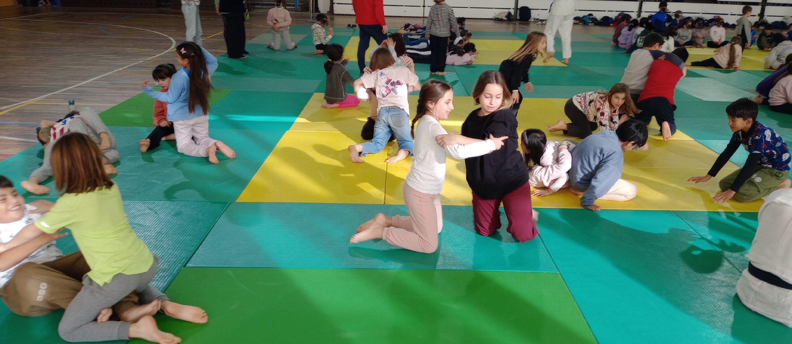 IMG_20260129_105309857