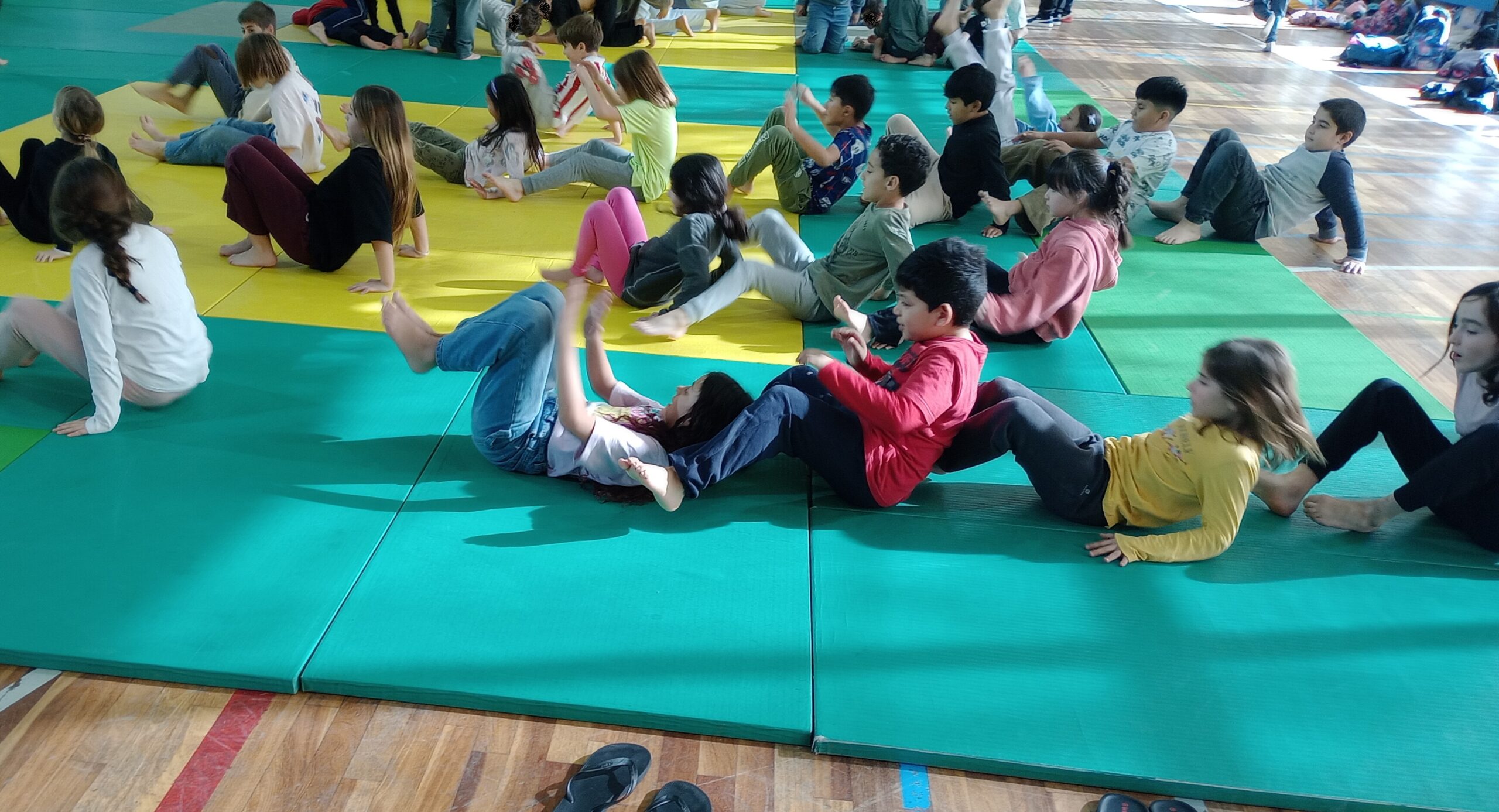 IMG_20260129_120102971