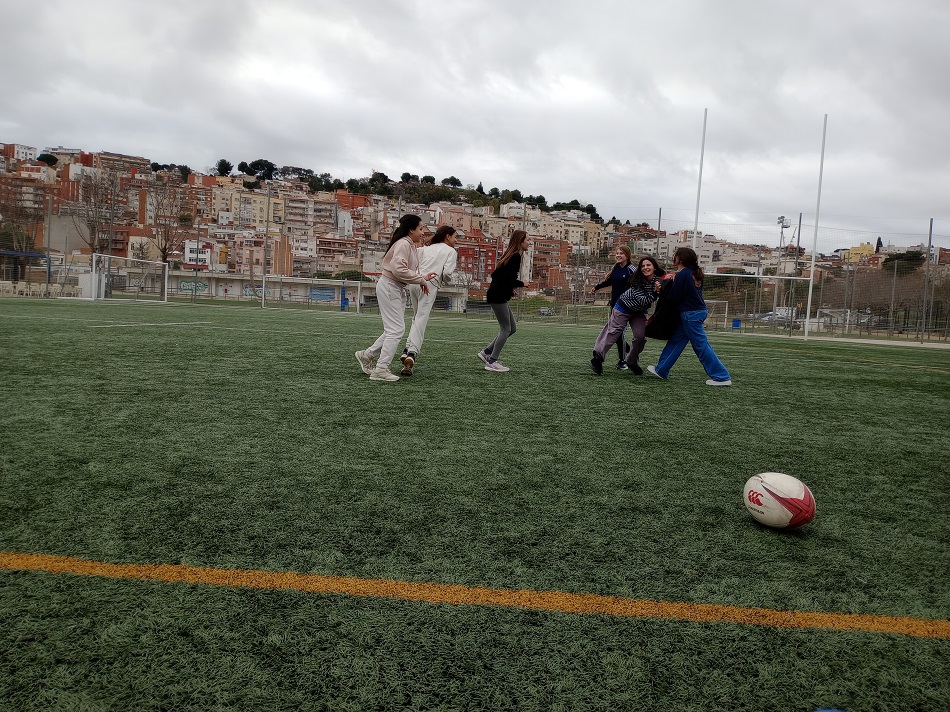 IMG_20260204_113316273