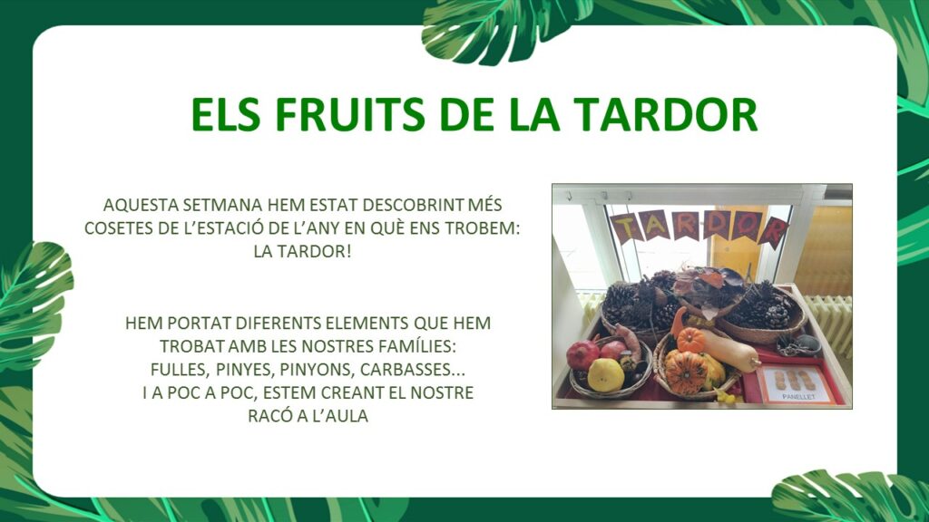 Els fruits de la tardor