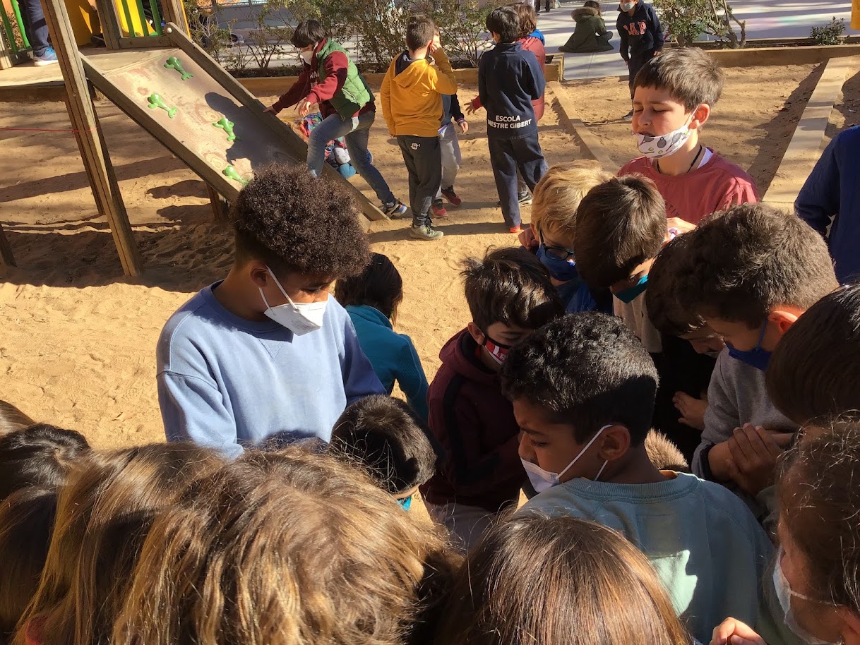 PATIS – 4t | Escola Mestre Enric Gibert i Camins