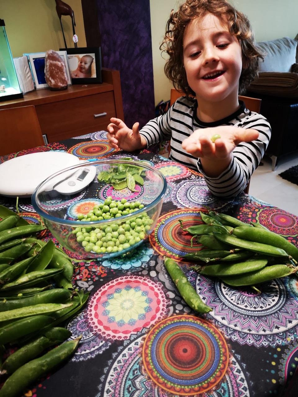 cf924362-0f8e-44d6-b5fc-0b0b8ad134cf