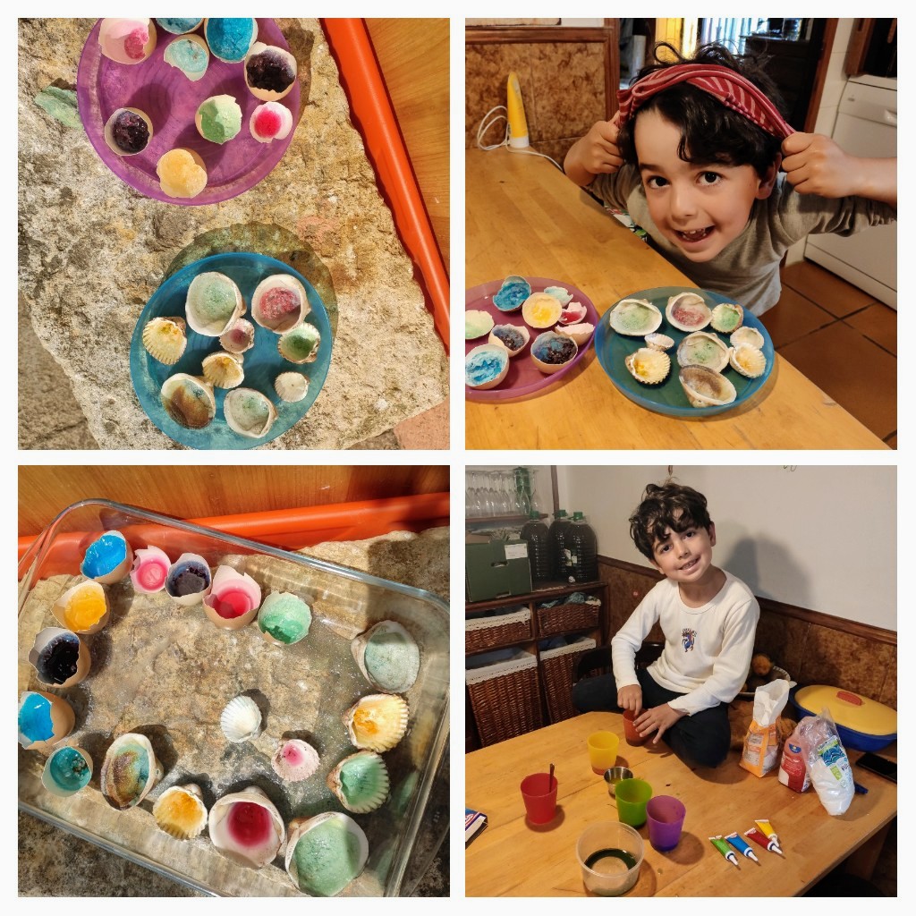 20200509_115057-COLLAGE