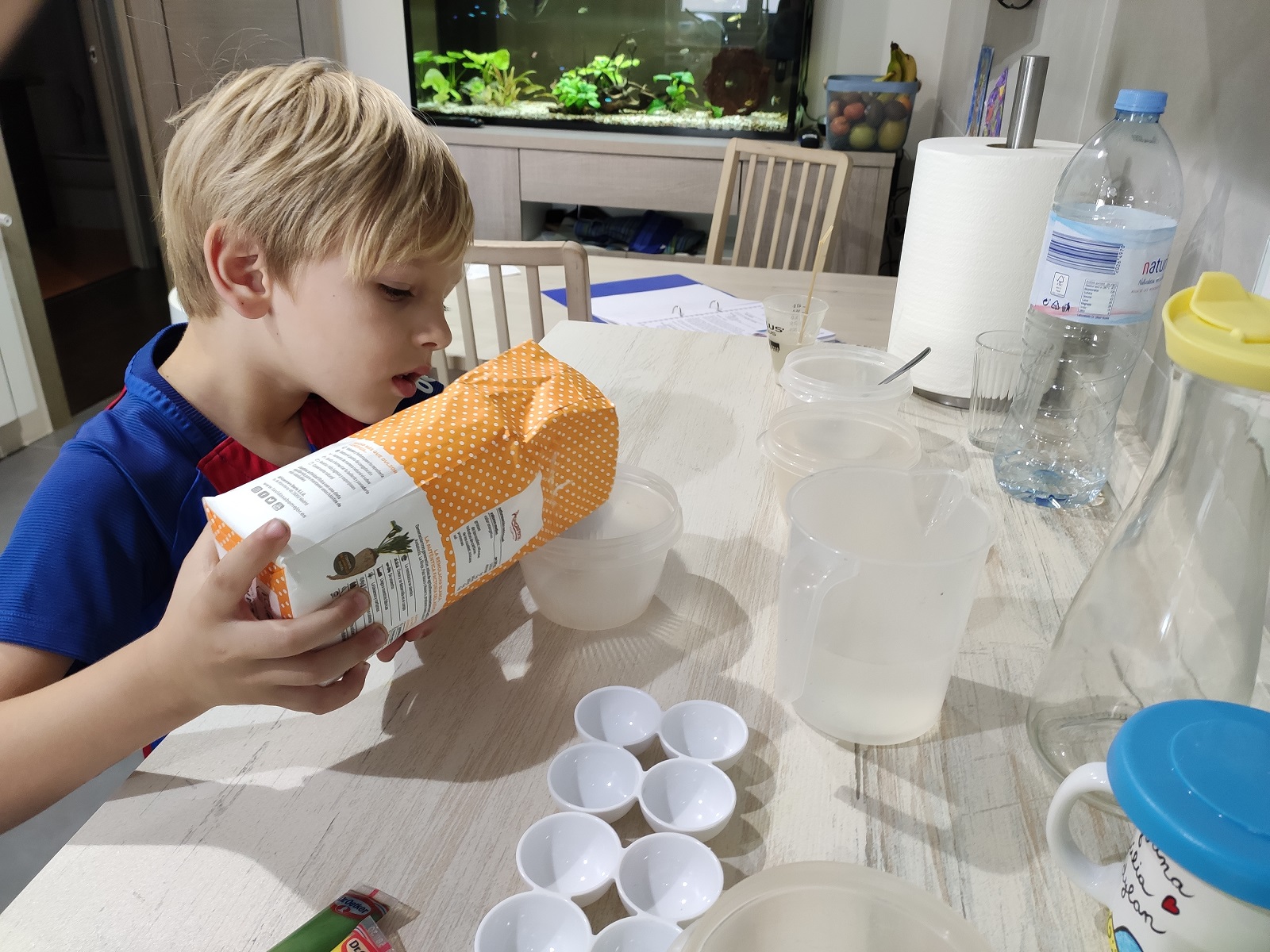 FERRAN_OUS_GEODA (3)