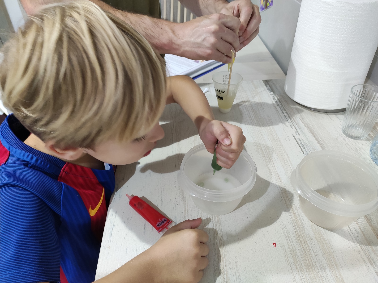 FERRAN_OUS_GEODA (4)