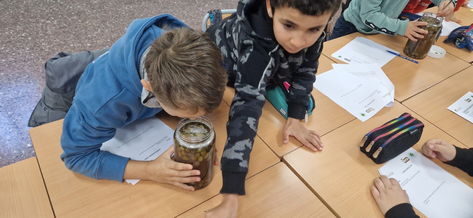 0d41bcfb-82b7-42c2-b9bb-c895df4ee8d1