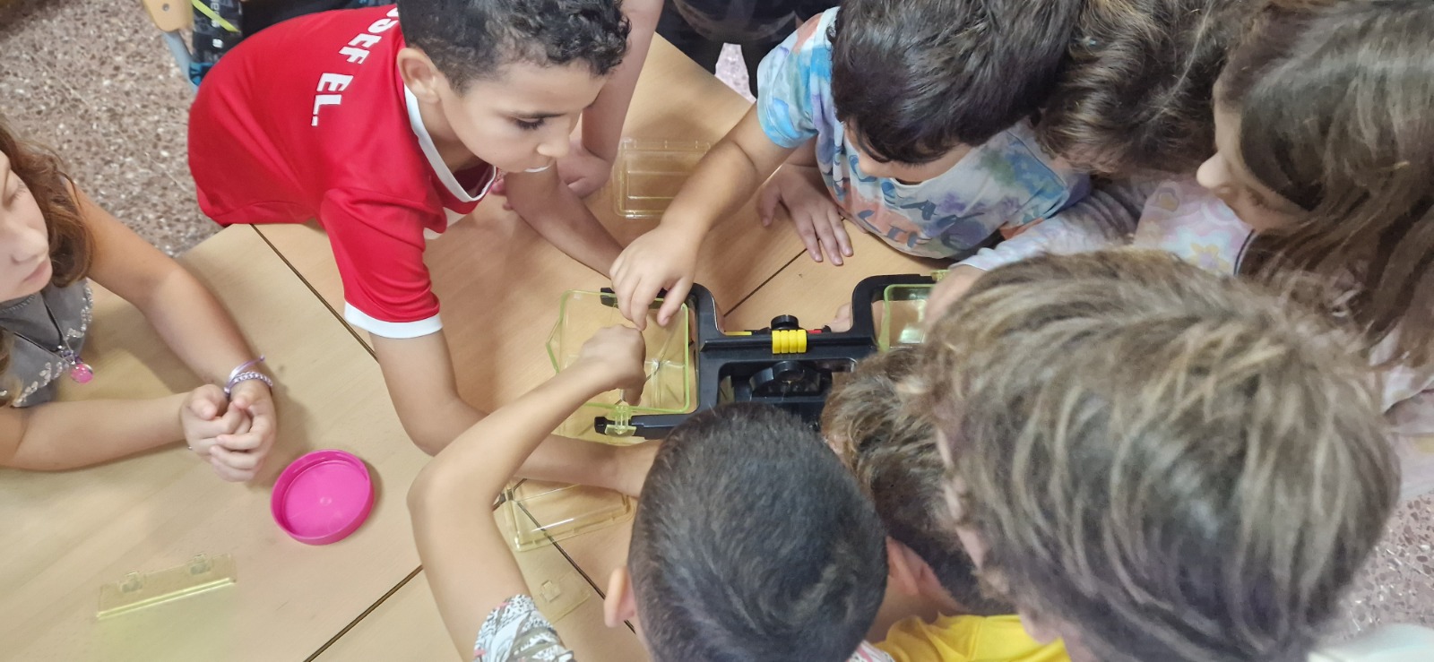 8b765276-e28c-4337-a9b6-f63f7fec9600