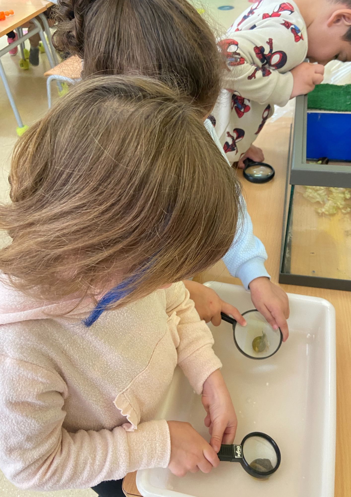 Diseño sin título (12)