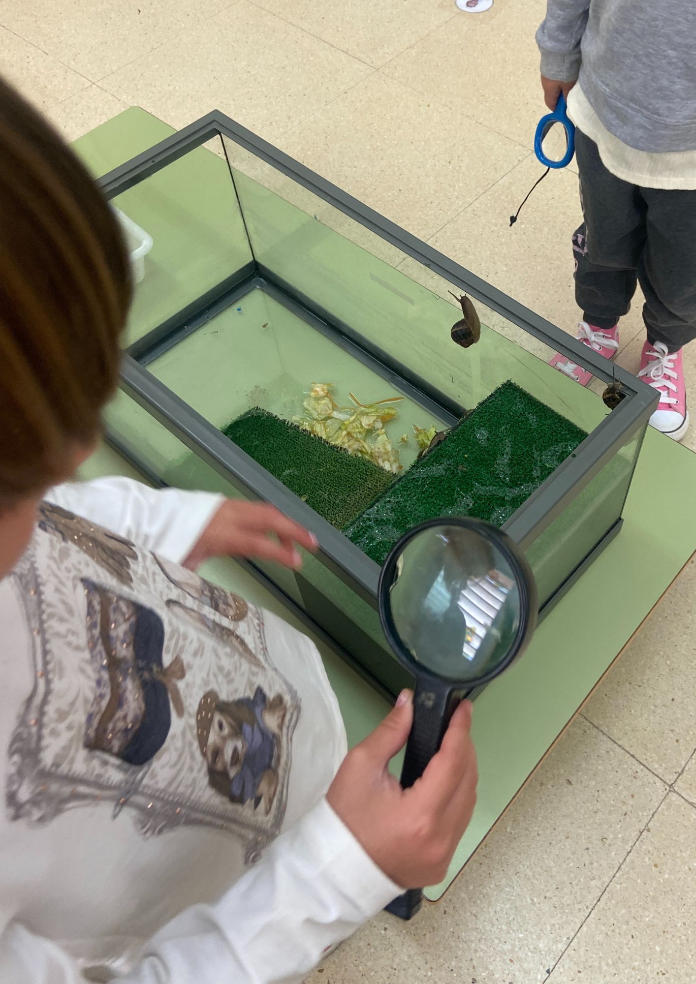 Diseño sin título (13)