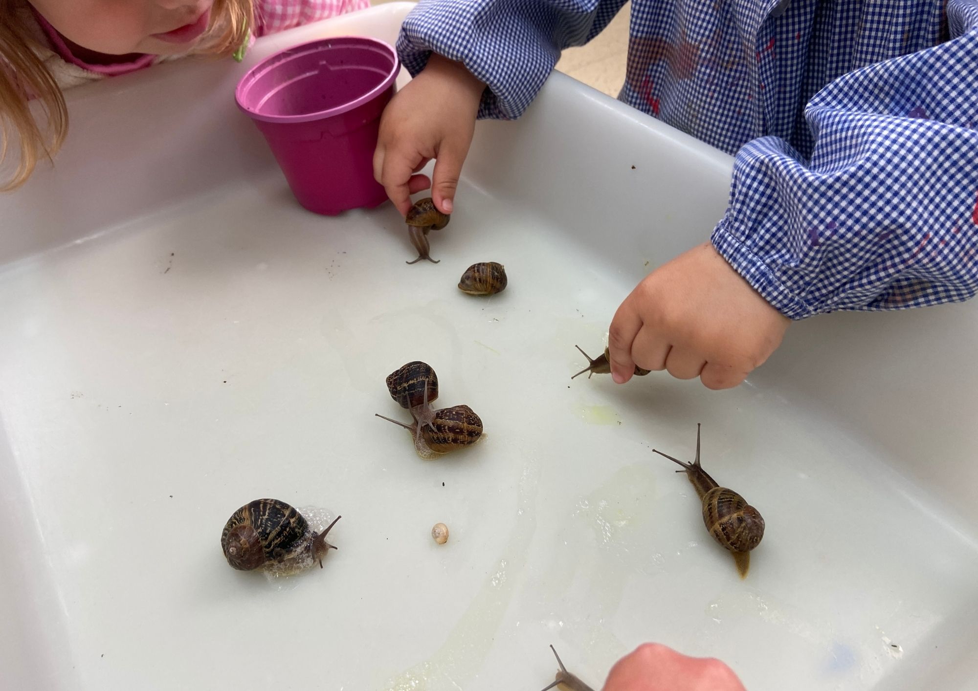 Diseño sin título (8)