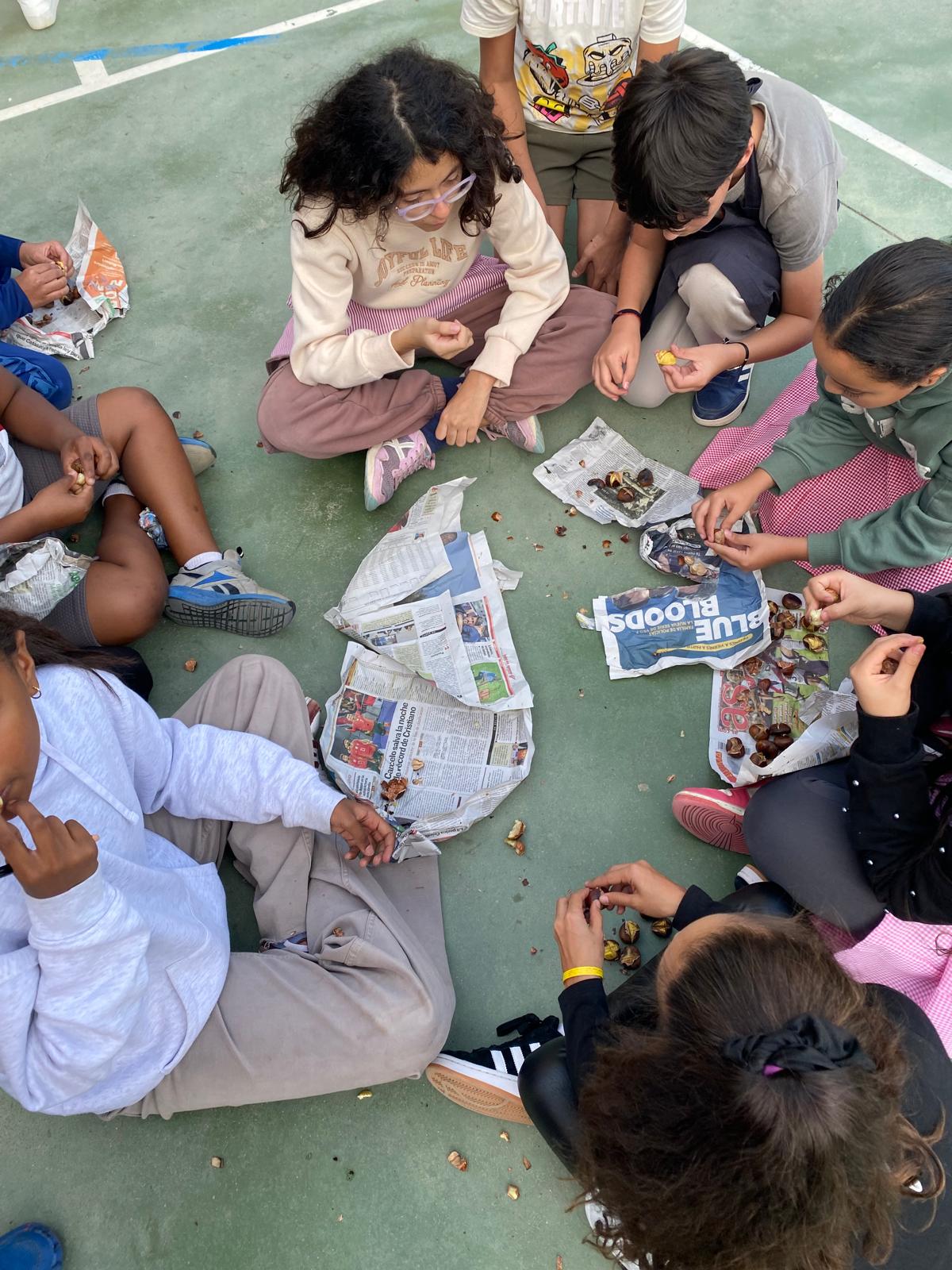 WhatsApp Image 2025-11-10 at 15.31.20 (1)