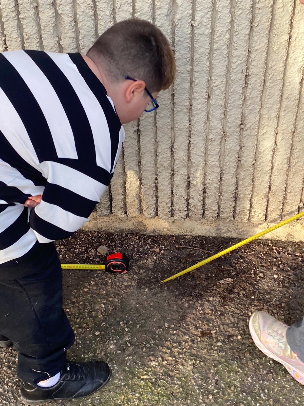 WhatsApp Image 2026-01-16 at 12.44.24