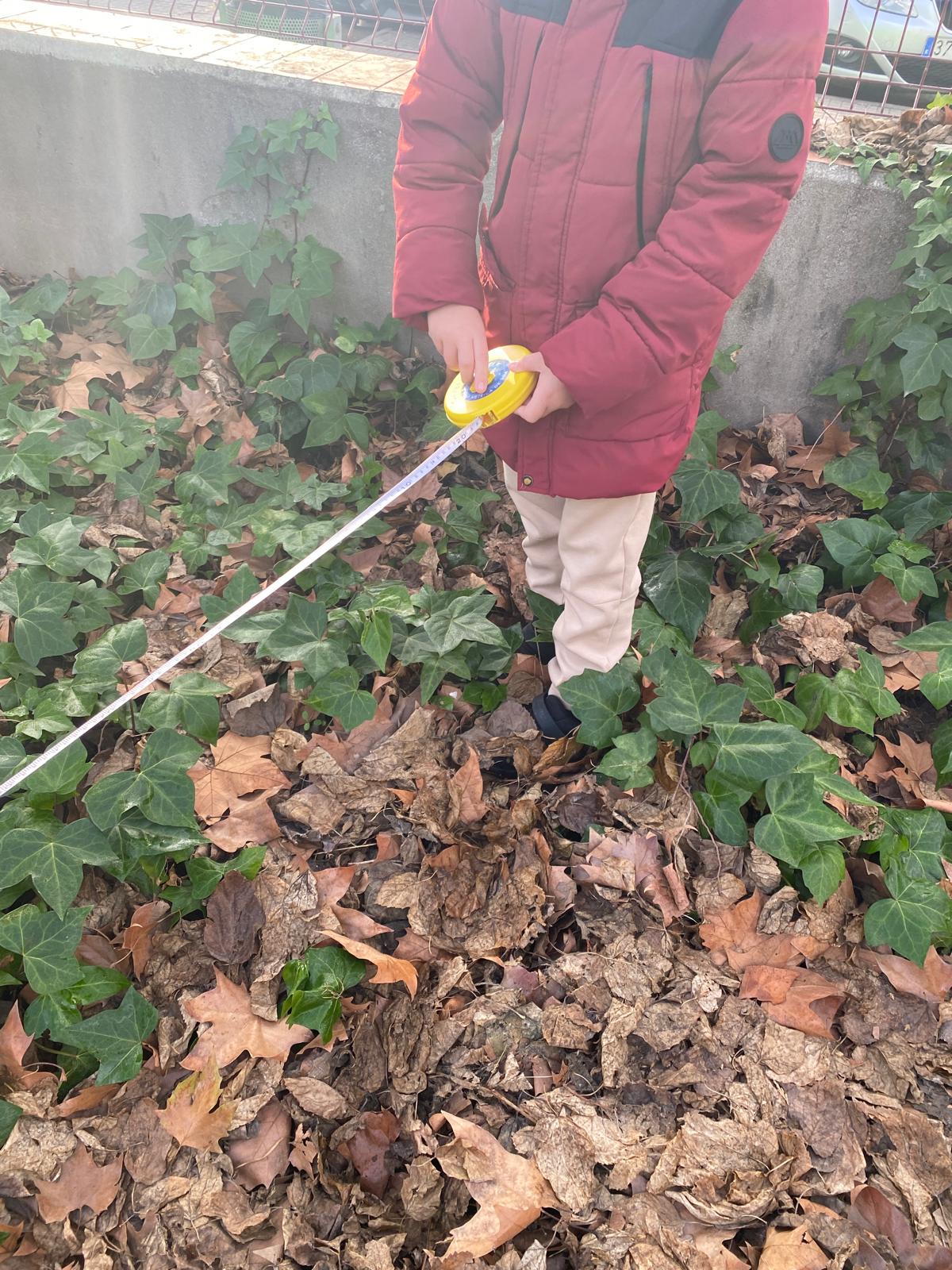 WhatsApp Image 2026-01-16 at 12.44.26 (1)