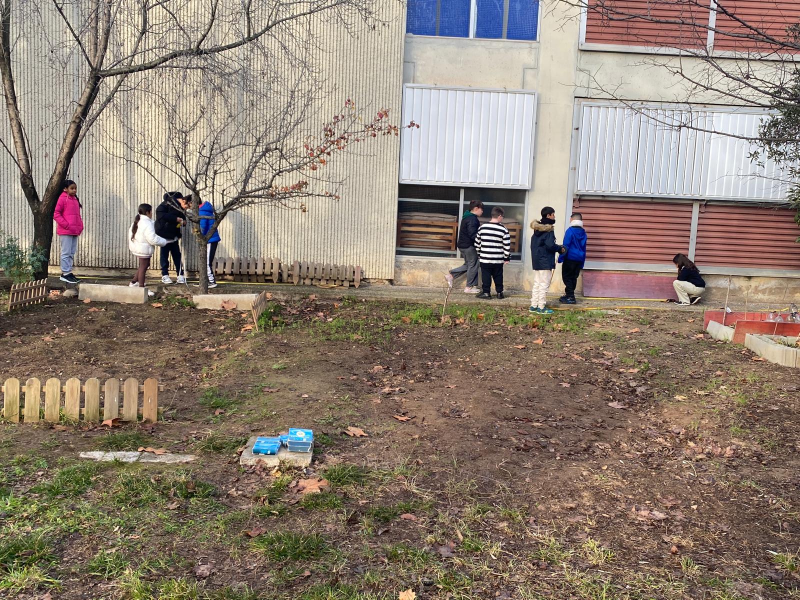 WhatsApp Image 2026-01-16 at 12.44.26