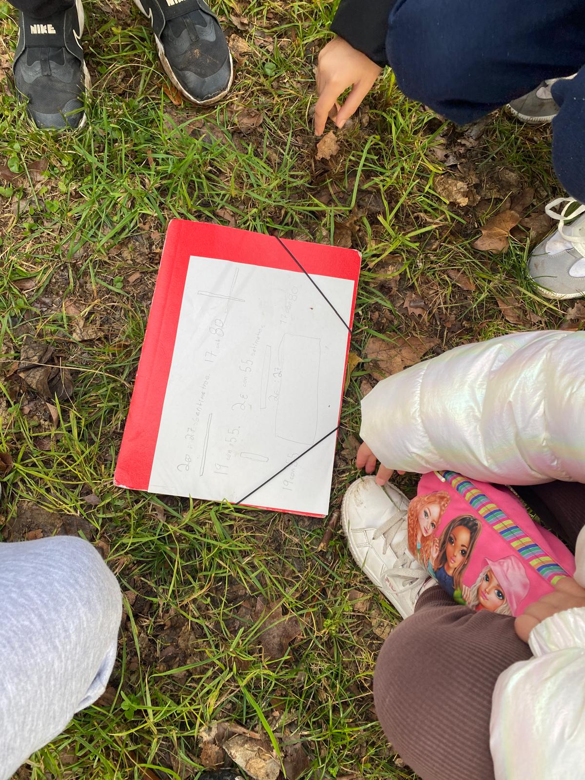 WhatsApp Image 2026-01-16 at 12.44.27