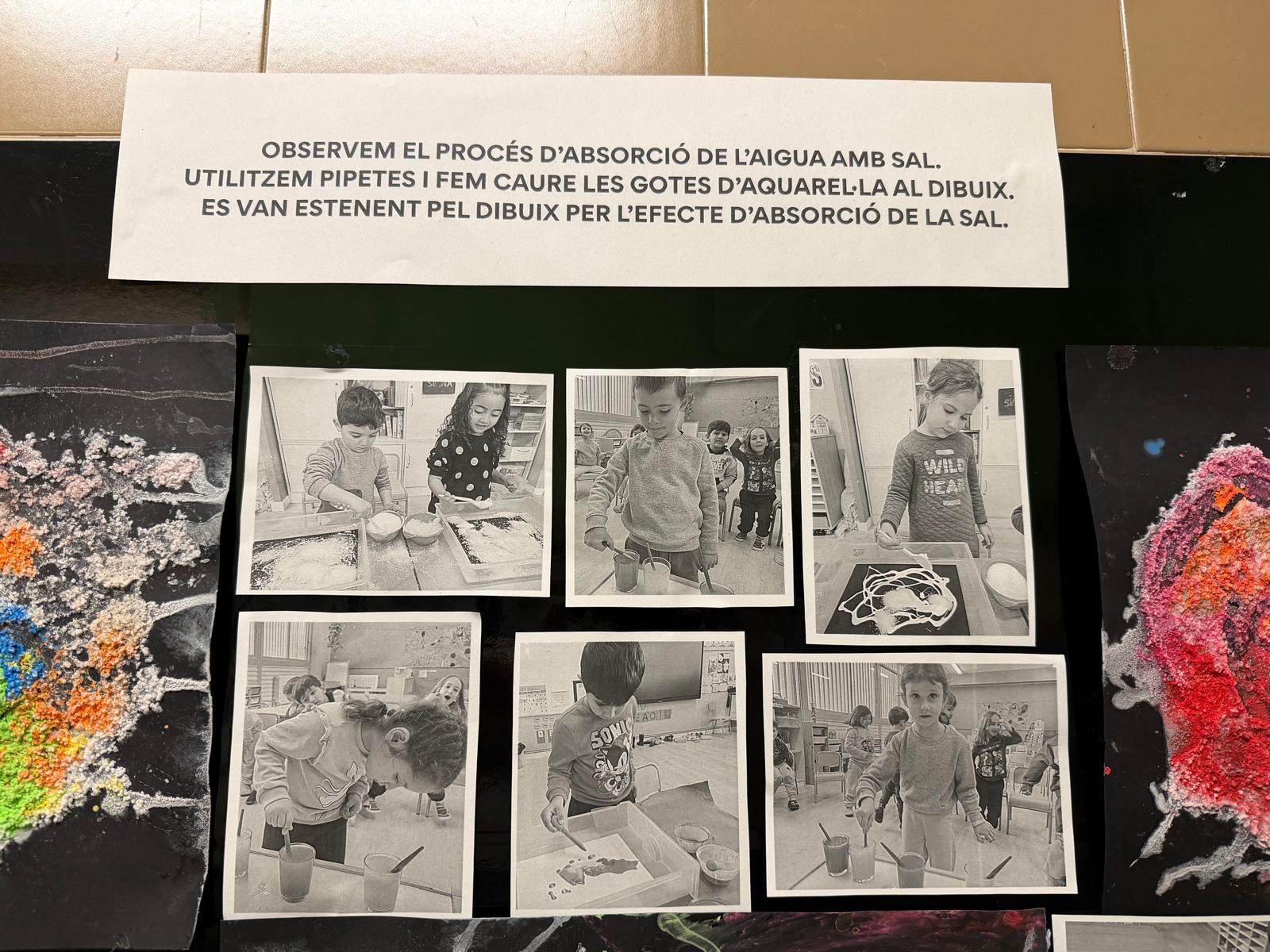 WhatsApp Image 2026-02-02 at 16.21.32