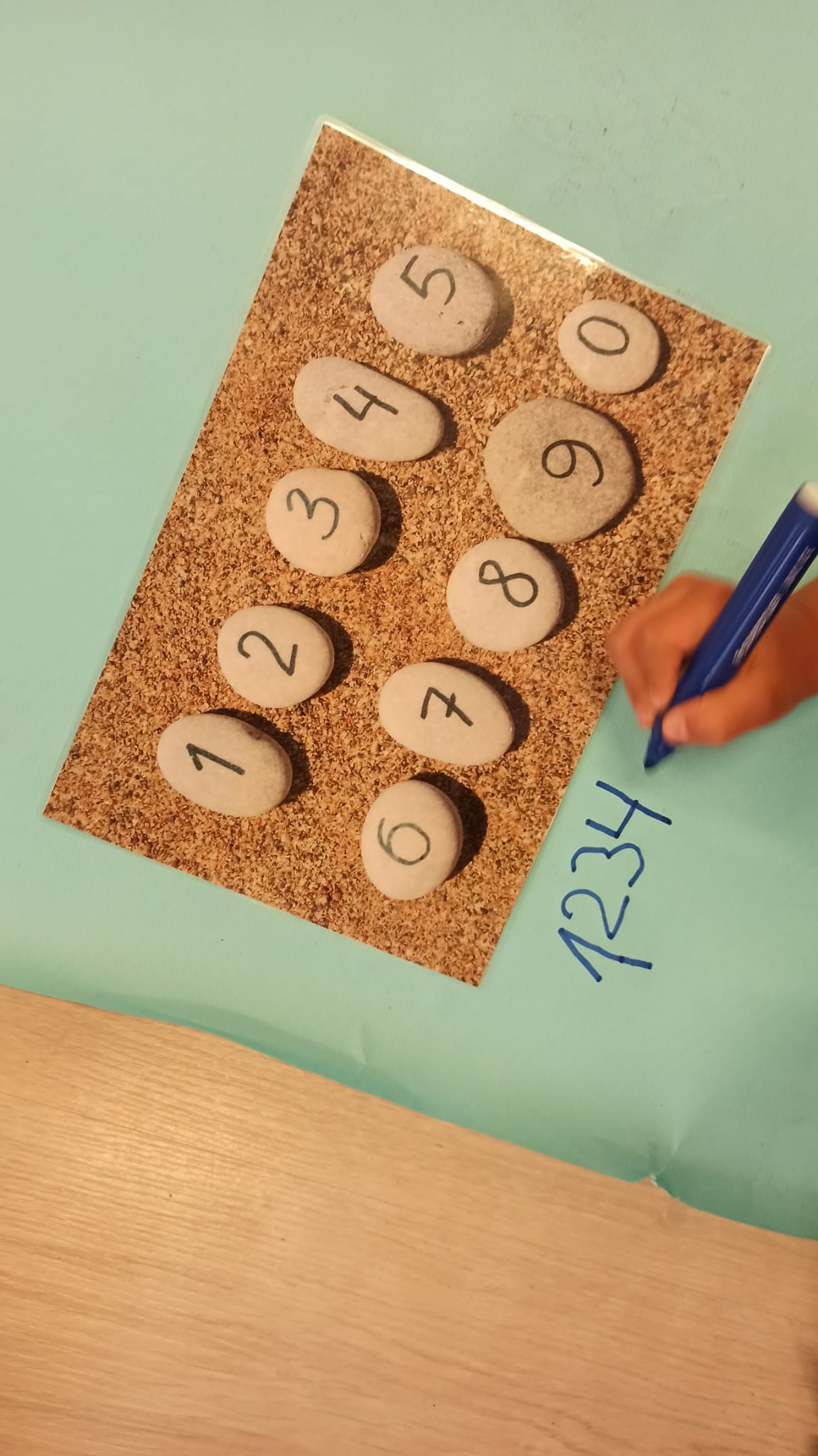 WhatsApp Image 2026-02-17 at 17.49.02 (1)