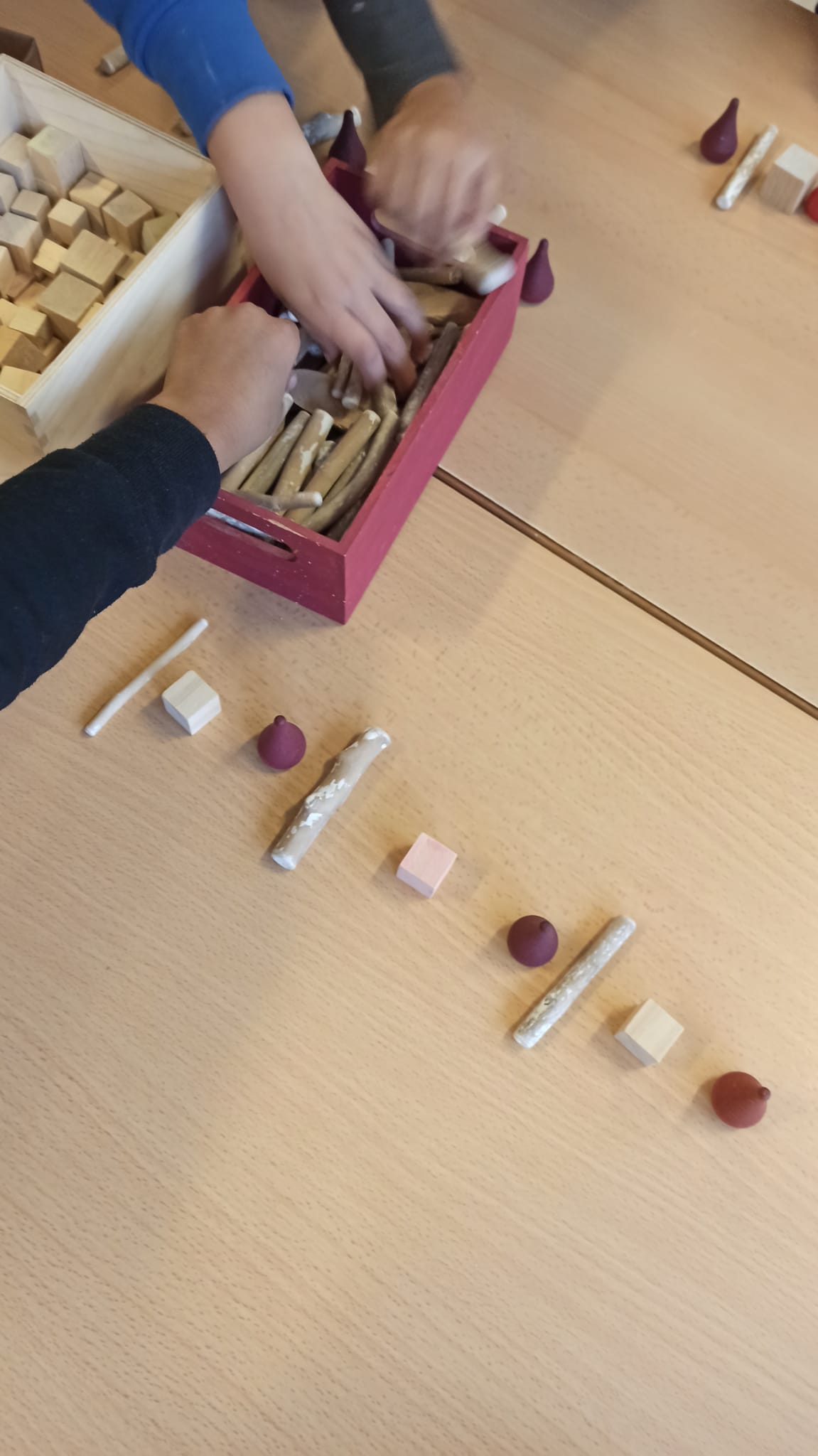 WhatsApp Image 2026-02-17 at 17.49.02 (3)