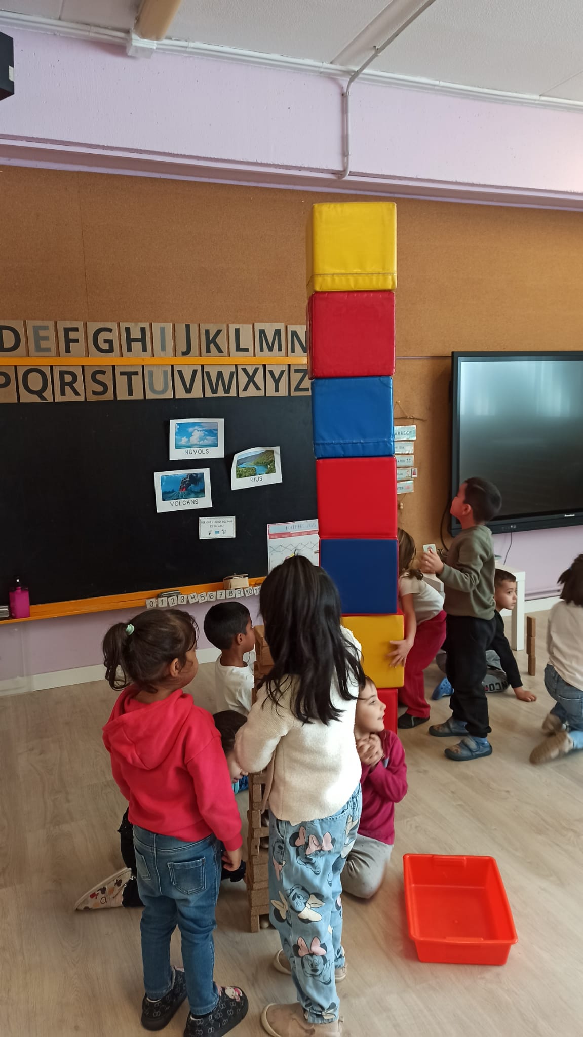 WhatsApp Image 2026-02-17 at 17.49.03 (5)