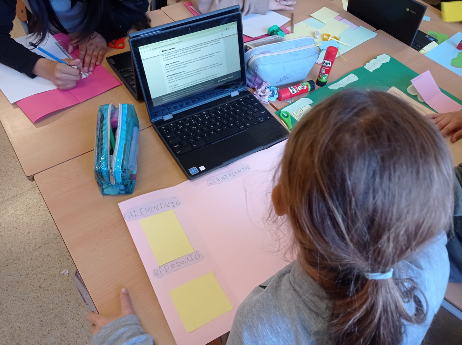 WhatsApp Image 2026-02-18 at 18.06.39