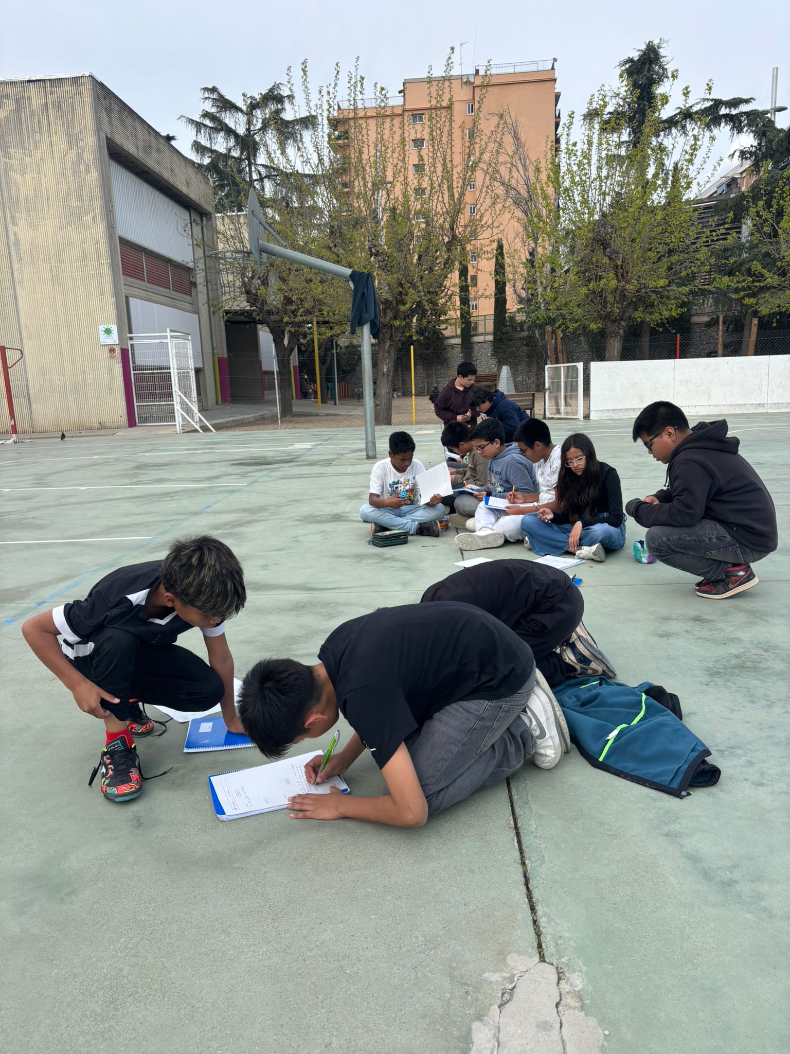 WhatsApp Image 2026-03-11 at 15.49.09