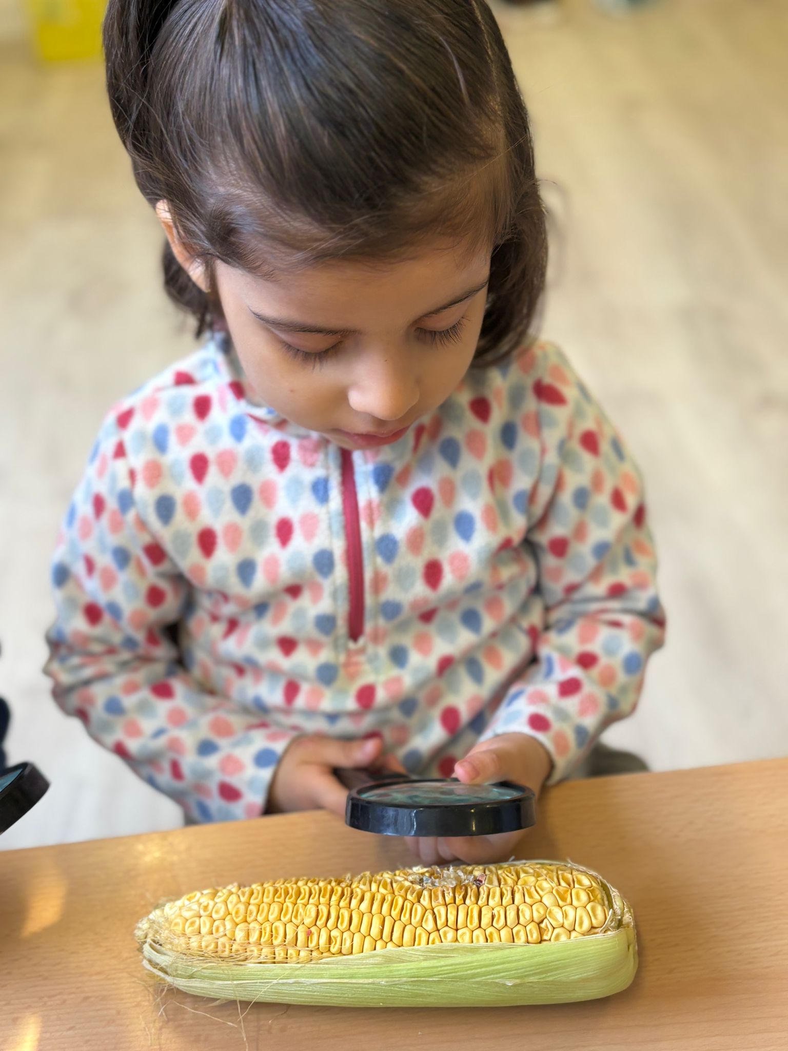 WhatsApp Image 2026-03-12 at 11.28.59 (1)