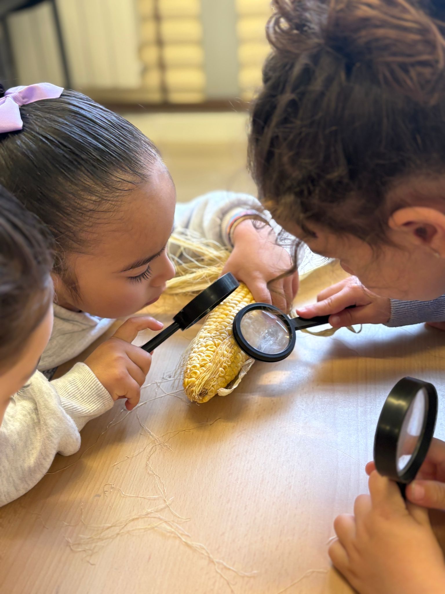 WhatsApp Image 2026-03-12 at 11.28.59 (2)