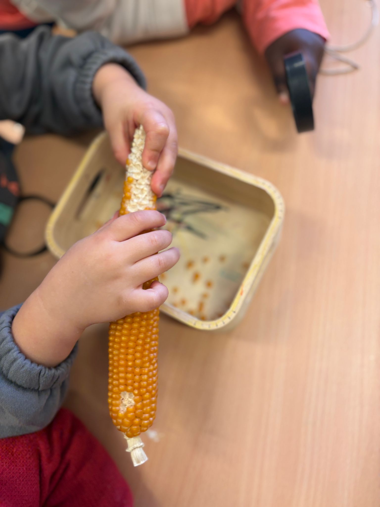 WhatsApp Image 2026-03-12 at 11.28.59