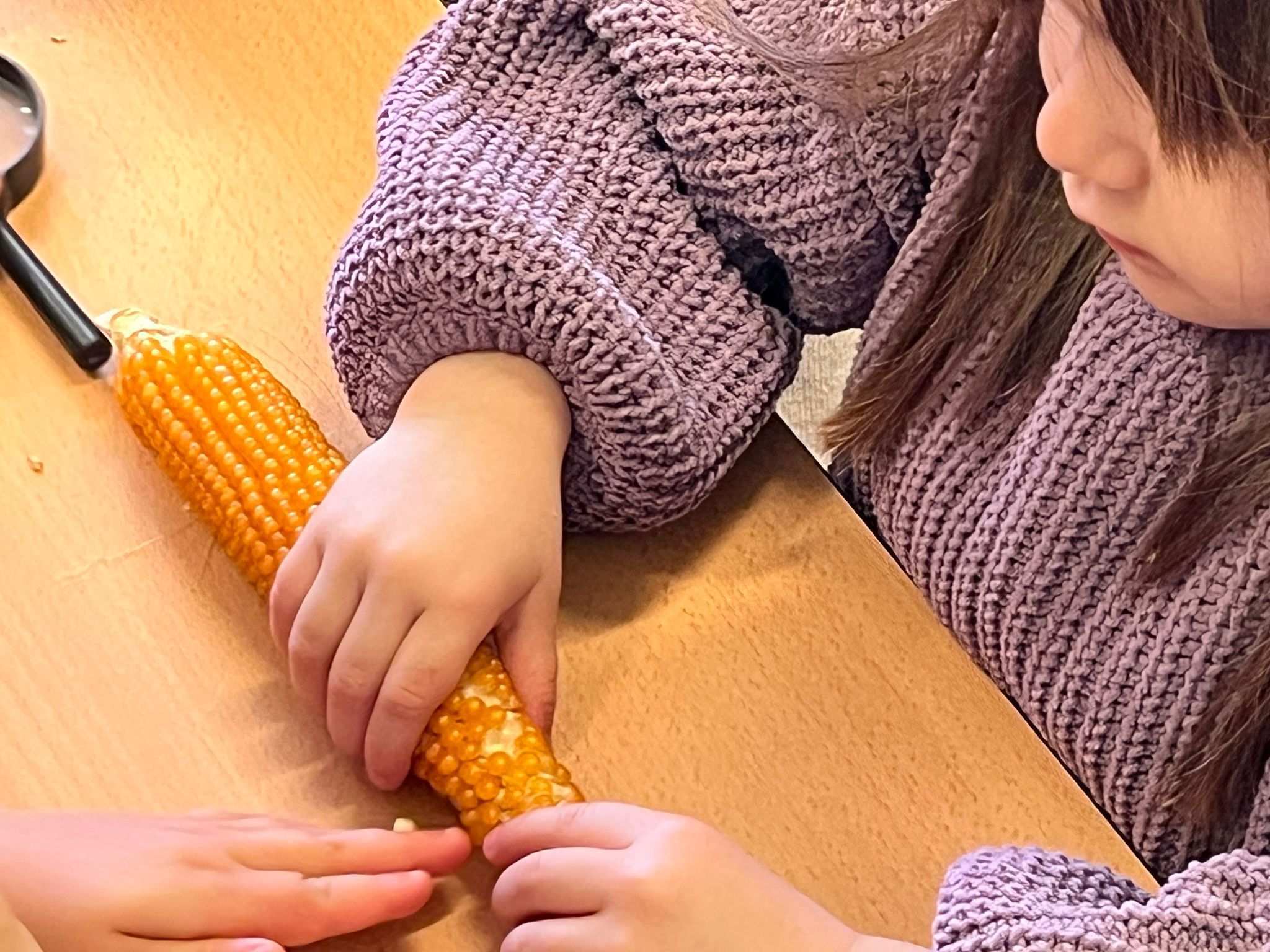 WhatsApp Image 2026-03-12 at 11.29.00 (1)