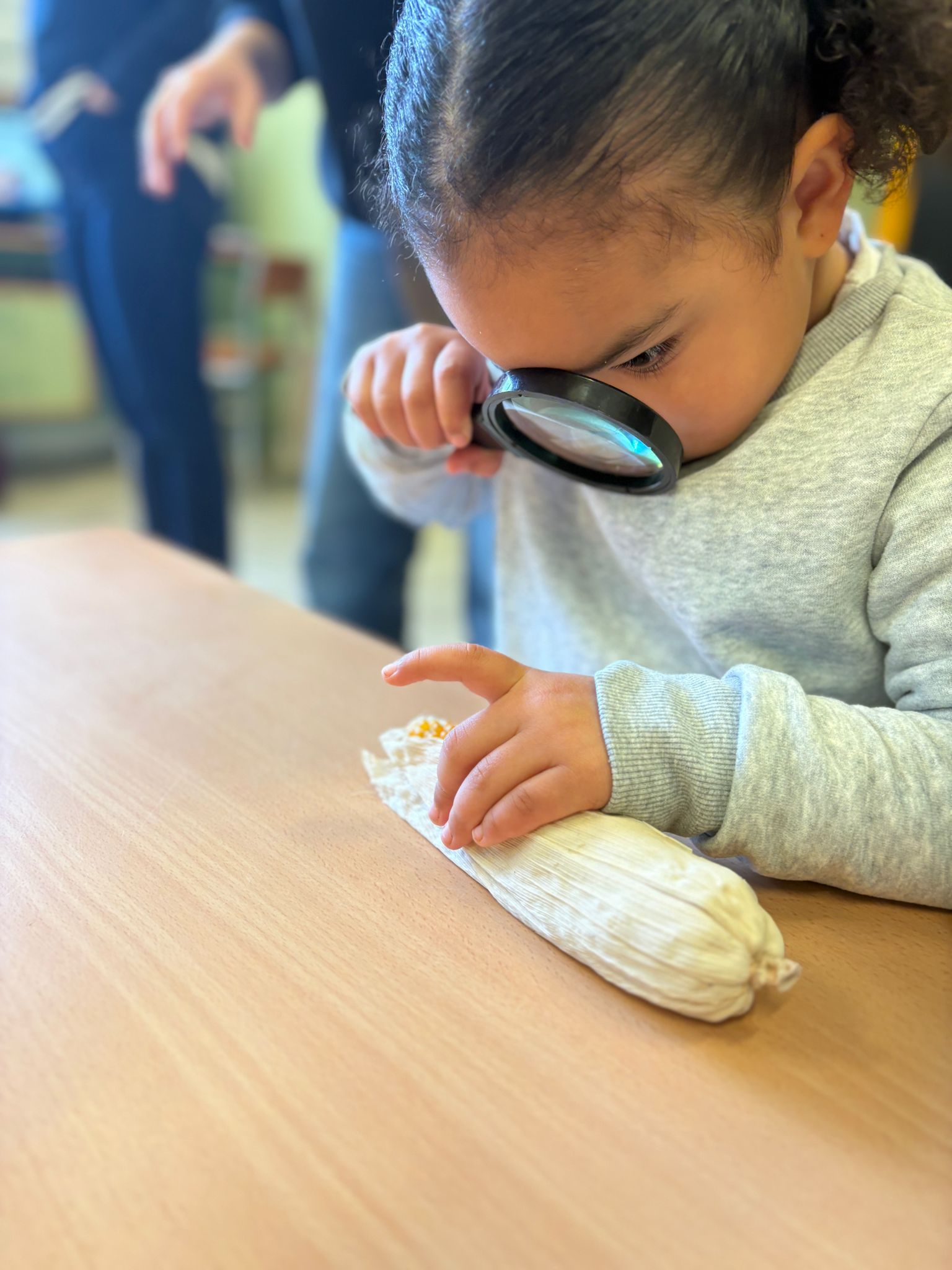 WhatsApp Image 2026-03-12 at 11.29.00 (3)