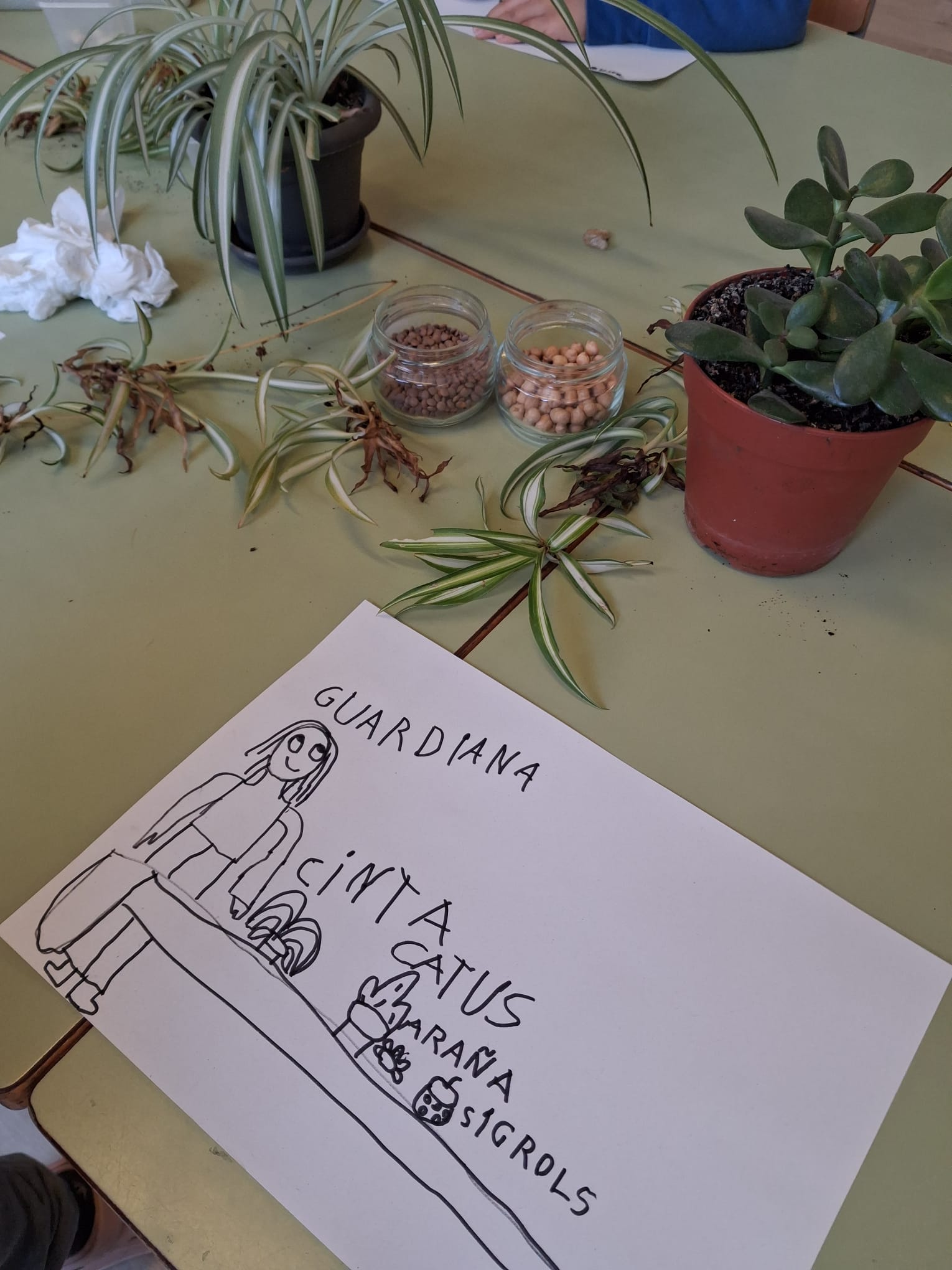 WhatsApp Image 2026-03-18 at 16.46.53