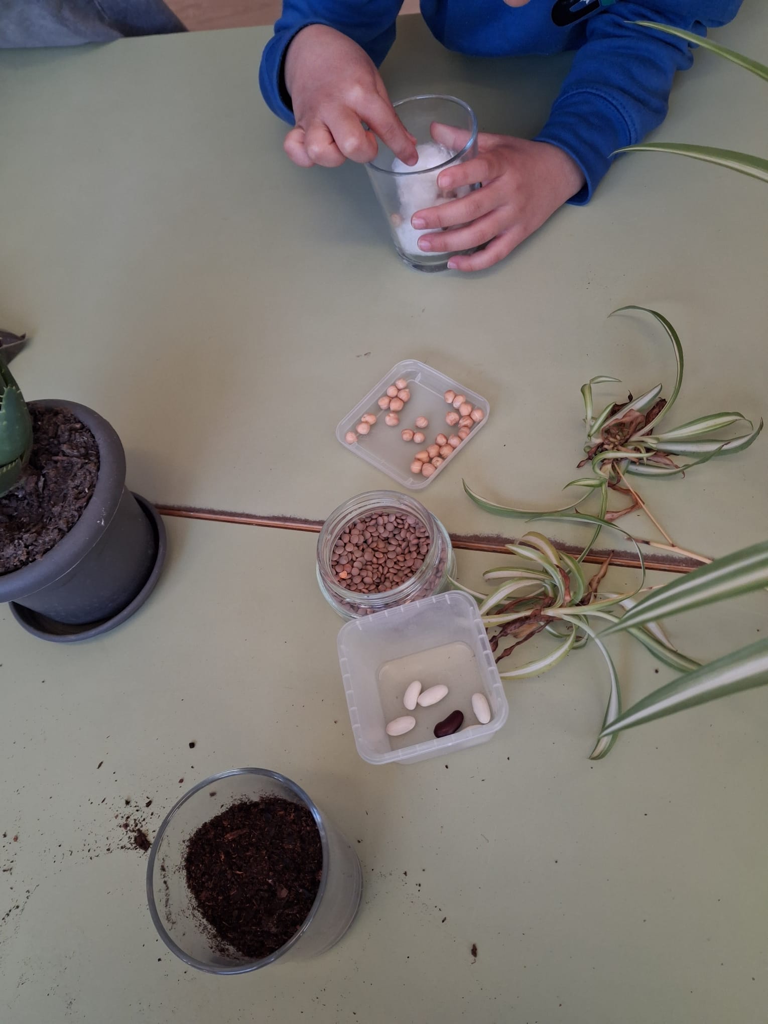 WhatsApp Image 2026-03-18 at 16.48.20