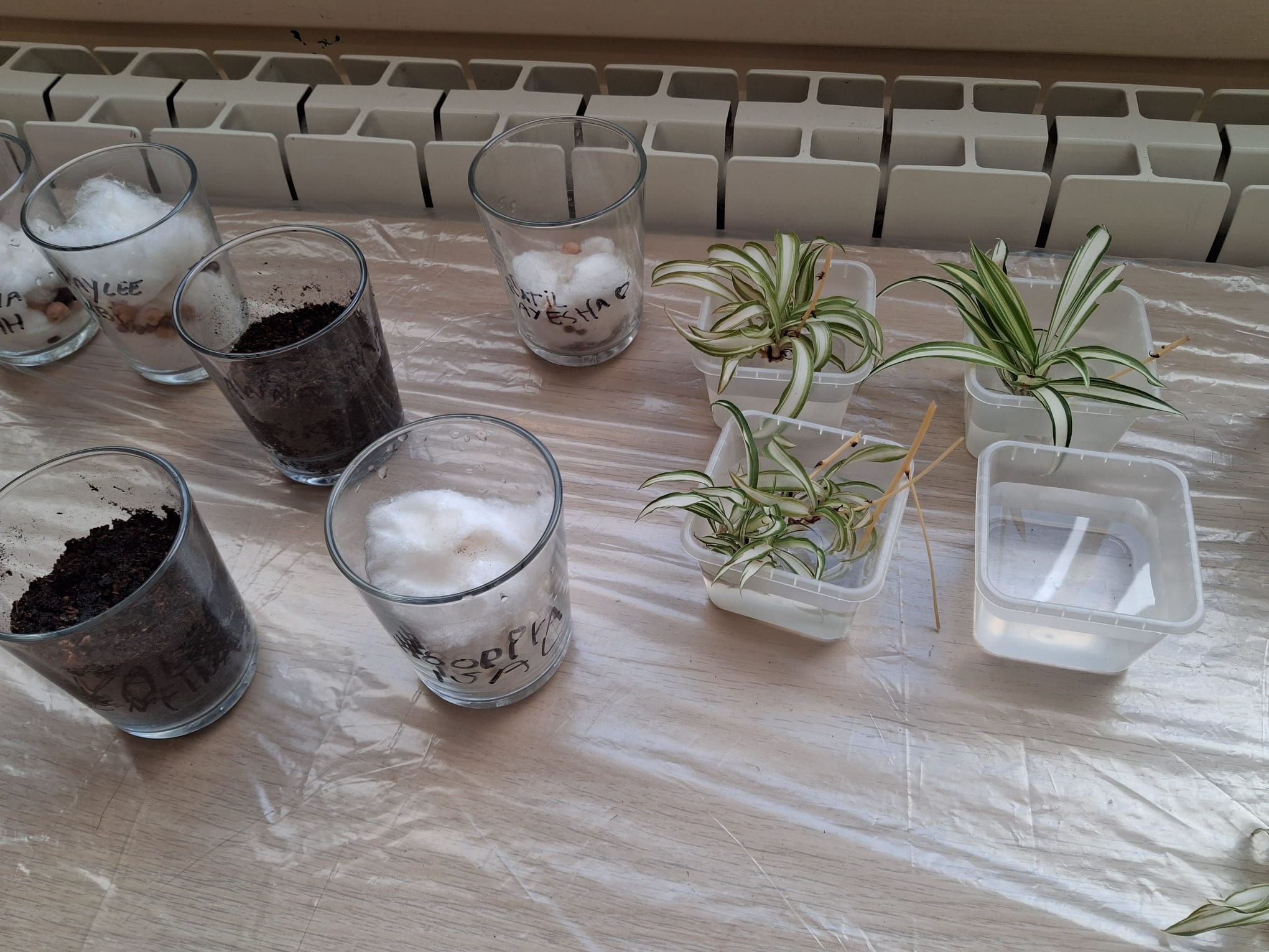 WhatsApp Image 2026-03-18 at 16.48.35