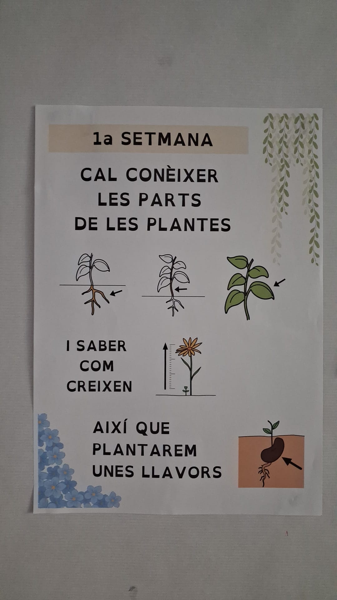 WhatsApp Image 2026-03-18 at 16.49.12