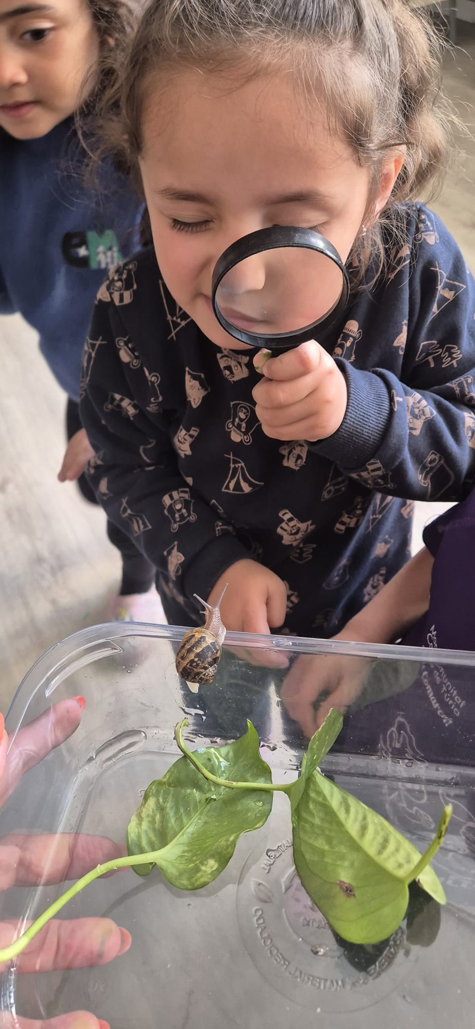 WhatsApp Image 2026-04-13 at 18.06.47 (1)