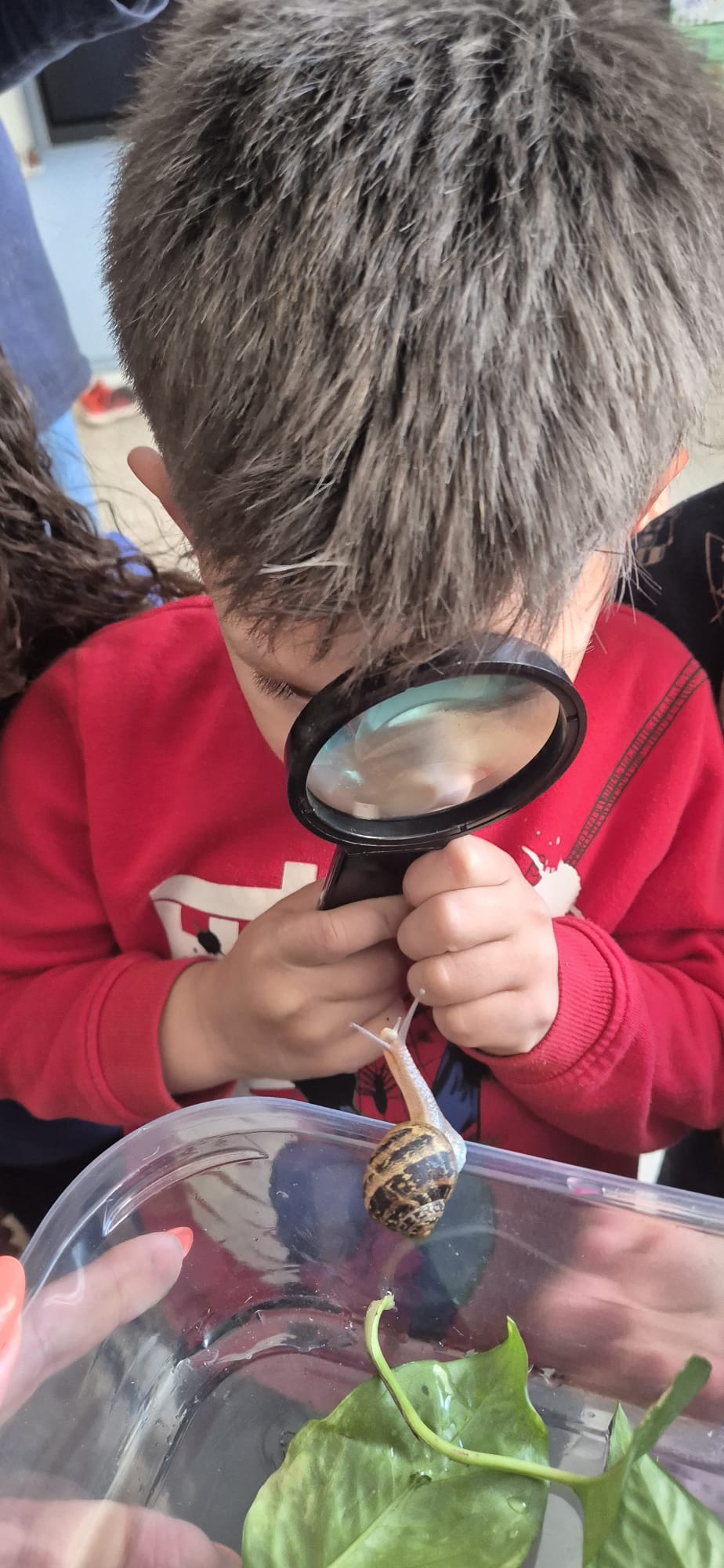 WhatsApp Image 2026-04-13 at 18.06.47