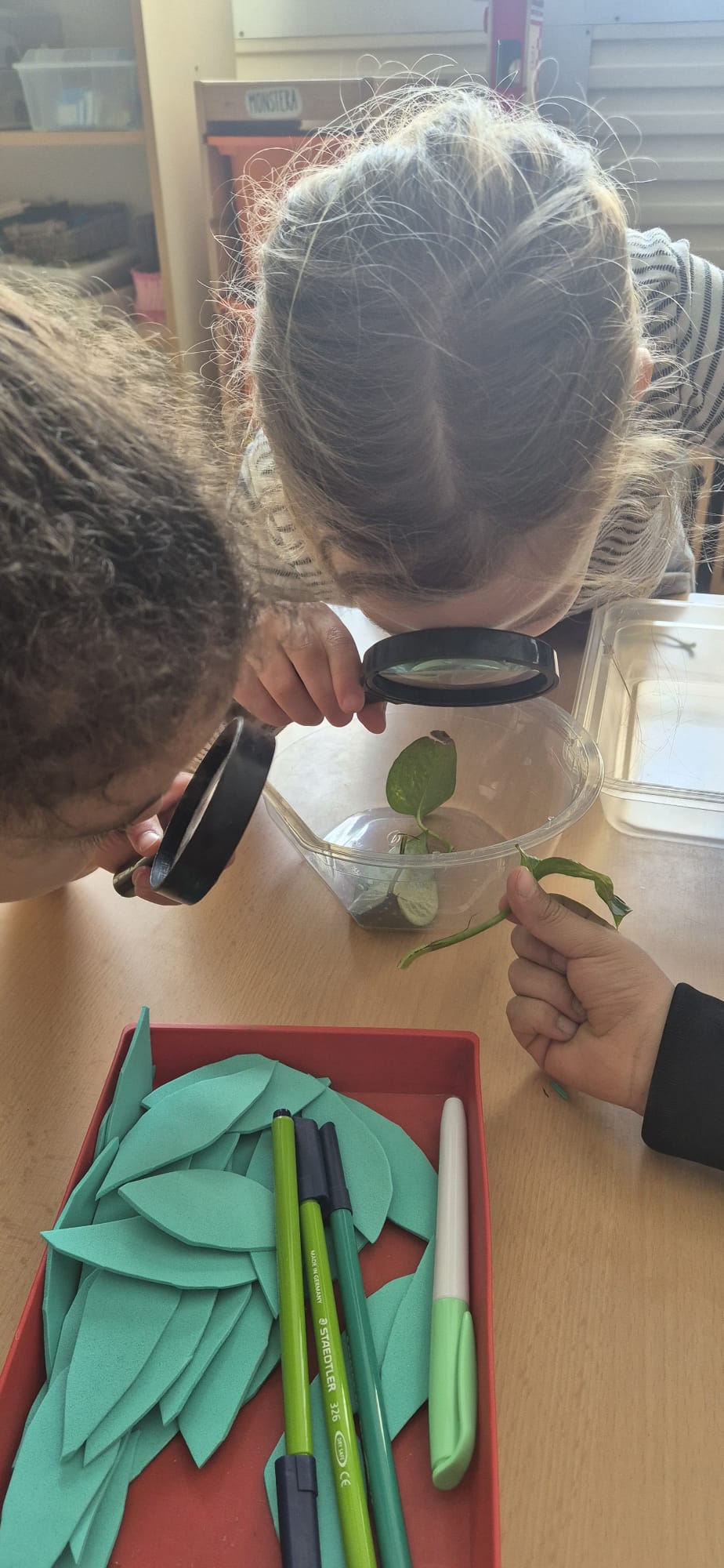 WhatsApp Image 2026-04-13 at 18.06.48 (2)